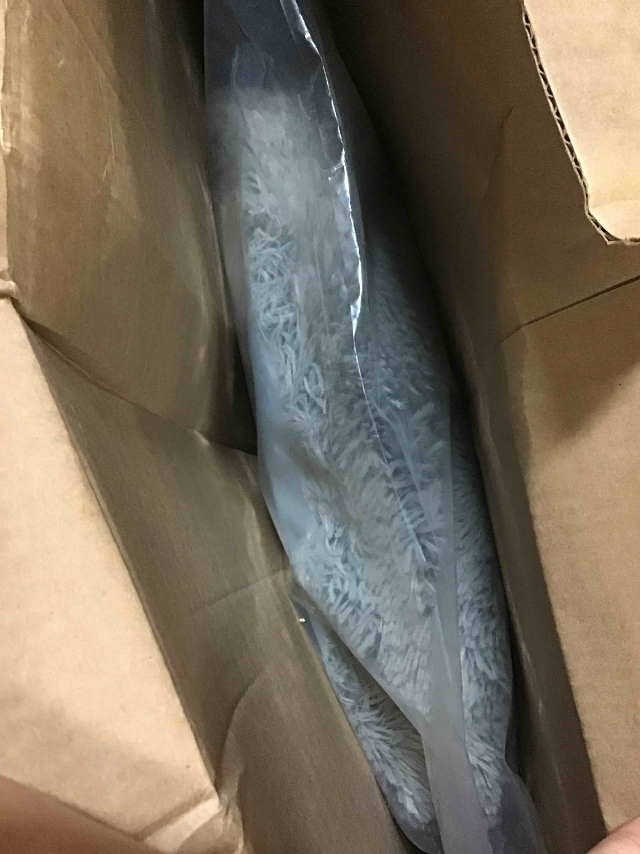 https://s3.amazonaws.com/lotting-images-prod/bidfta/BLU5011424_1694088934329.jpeg