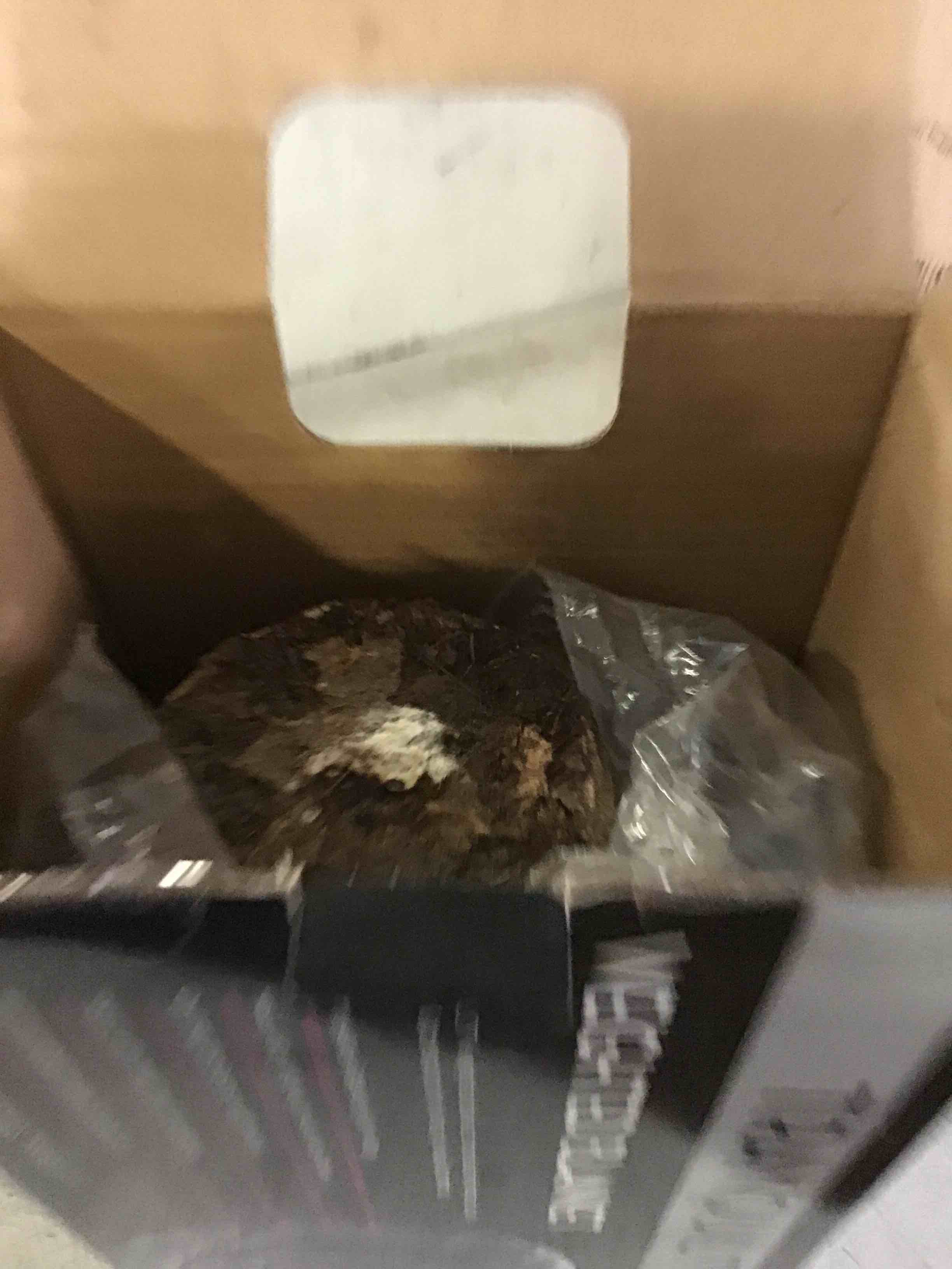 https://s3.amazonaws.com/lotting-images-prod/bidfta/BLU5011659_1694014084147.jpeg