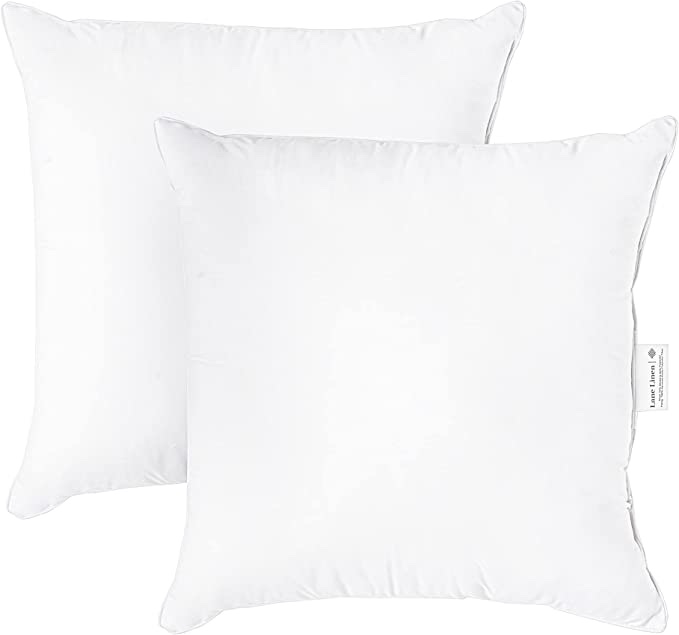LANE LINEN 18 x 18 Throw Pillow Insert - Pack of 2 White Throw Pillows, Down Alternative Pillow Inserts for Decorative Pillow Covers, Throw Pillows for Bed, Couch Pillows for Living Room