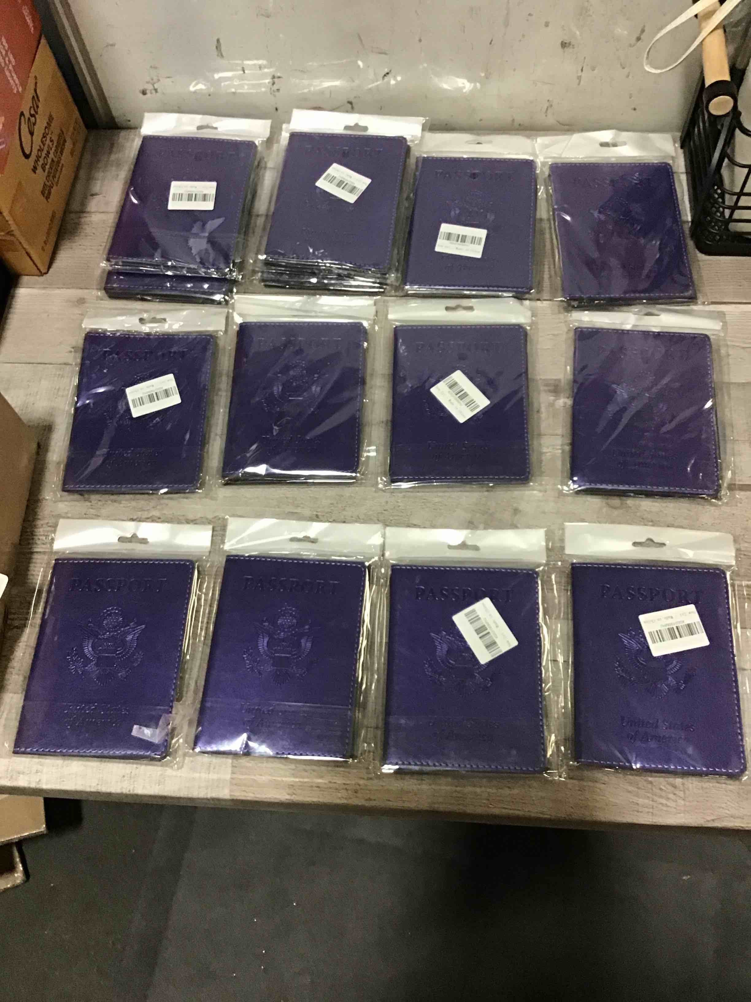 Passport Holder