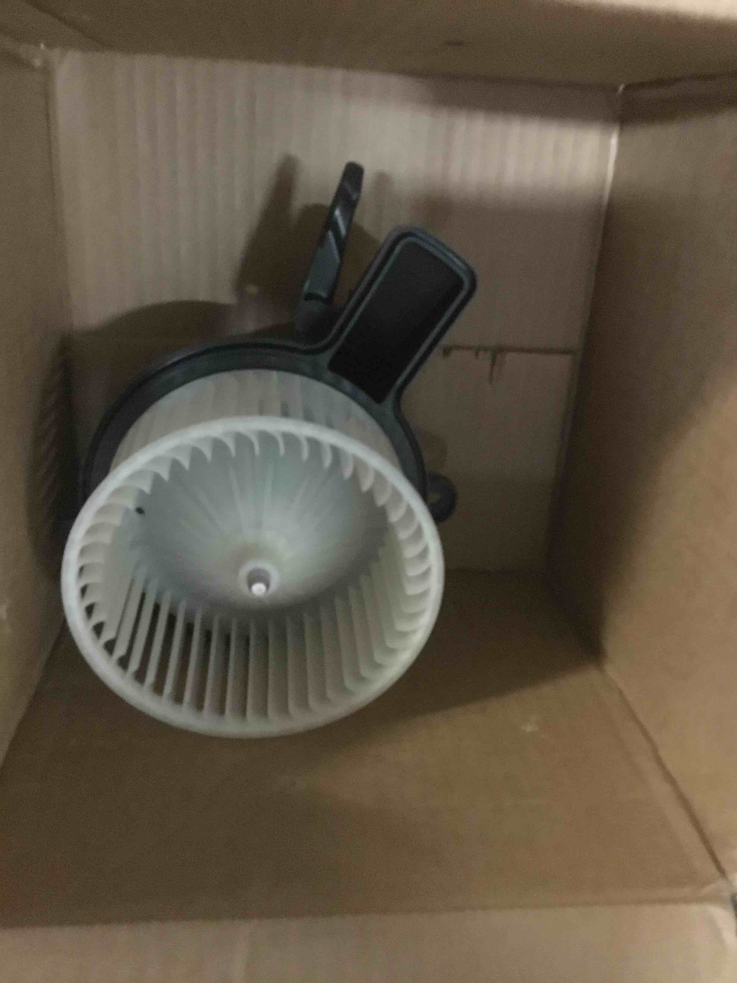 https://s3.amazonaws.com/lotting-images-prod/bidfta/BLU5096861_1695318950818.jpeg