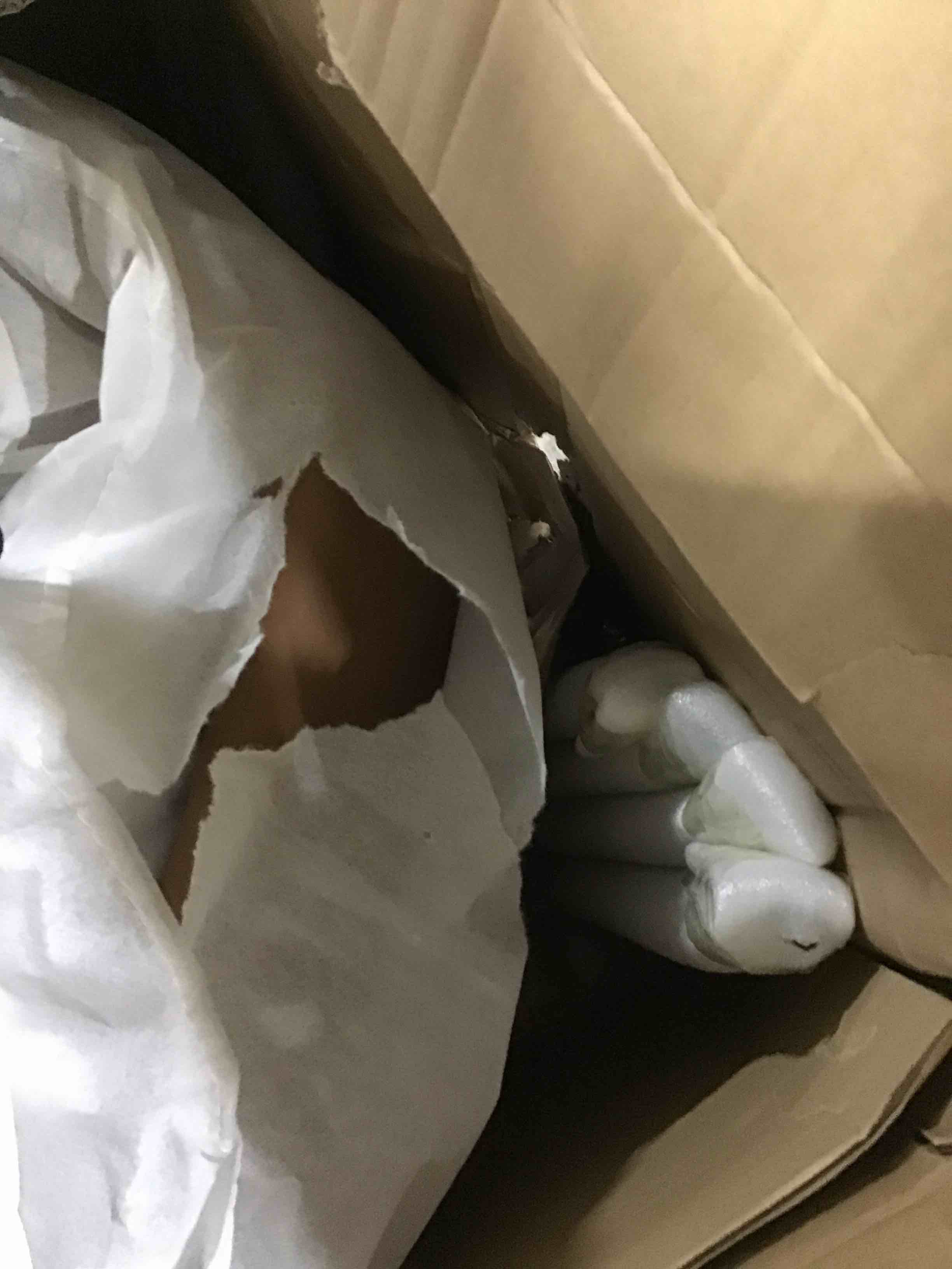 https://s3.amazonaws.com/lotting-images-prod/bidfta/BLU5113820_1708008667963.jpeg