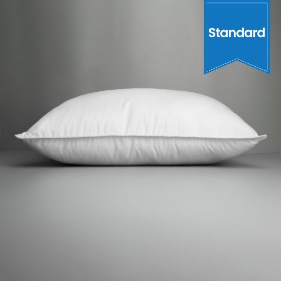Ryotei Platinum Plus Pillow 20 x 26 Standard Set of 2