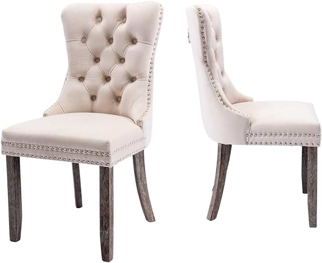 Allena Tufted Velvet Wing Back Parsons Chair Set Of 2 