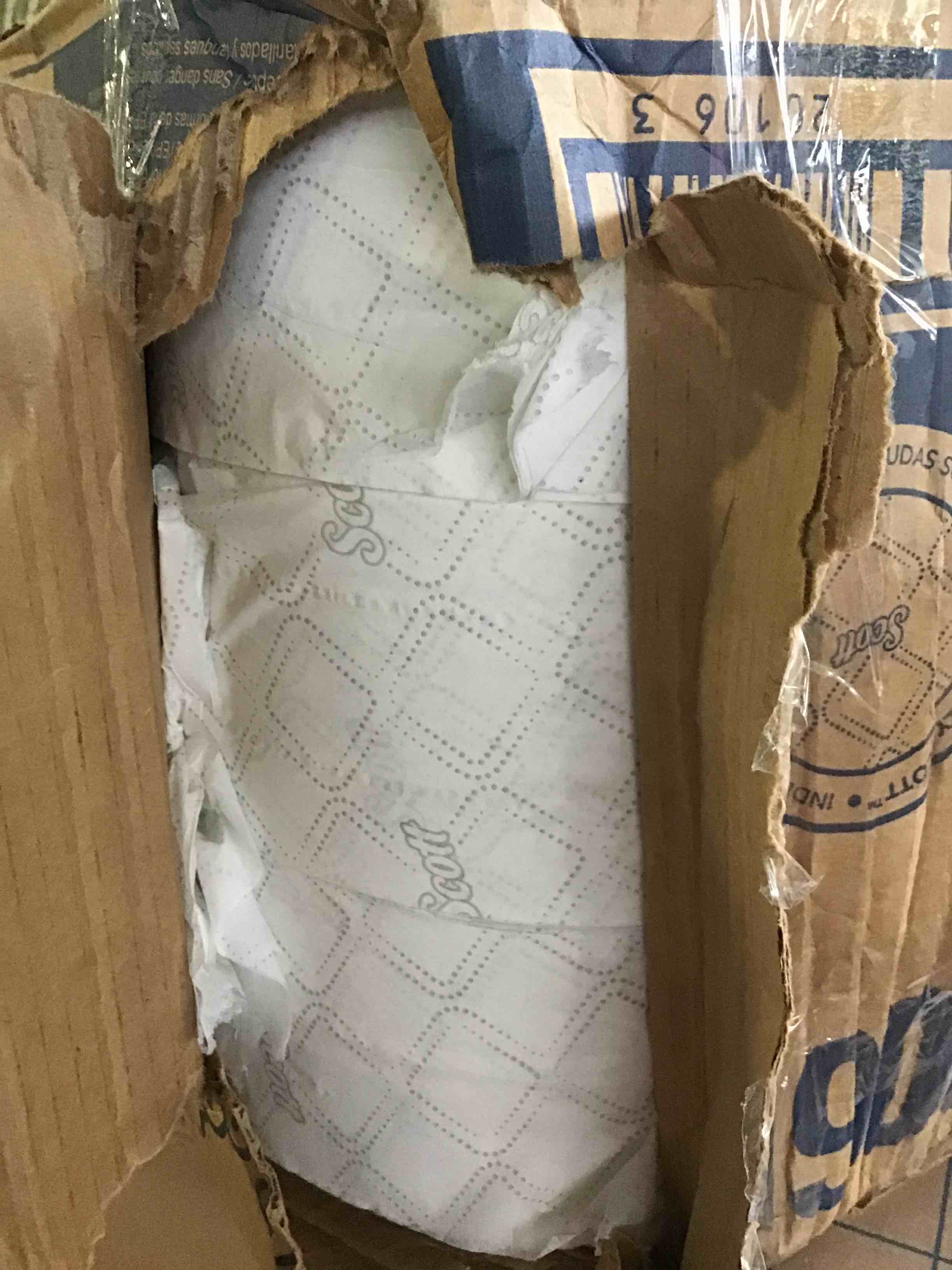 https://s3.amazonaws.com/lotting-images-prod/bidfta/BLU5134077_1694179022288.jpeg