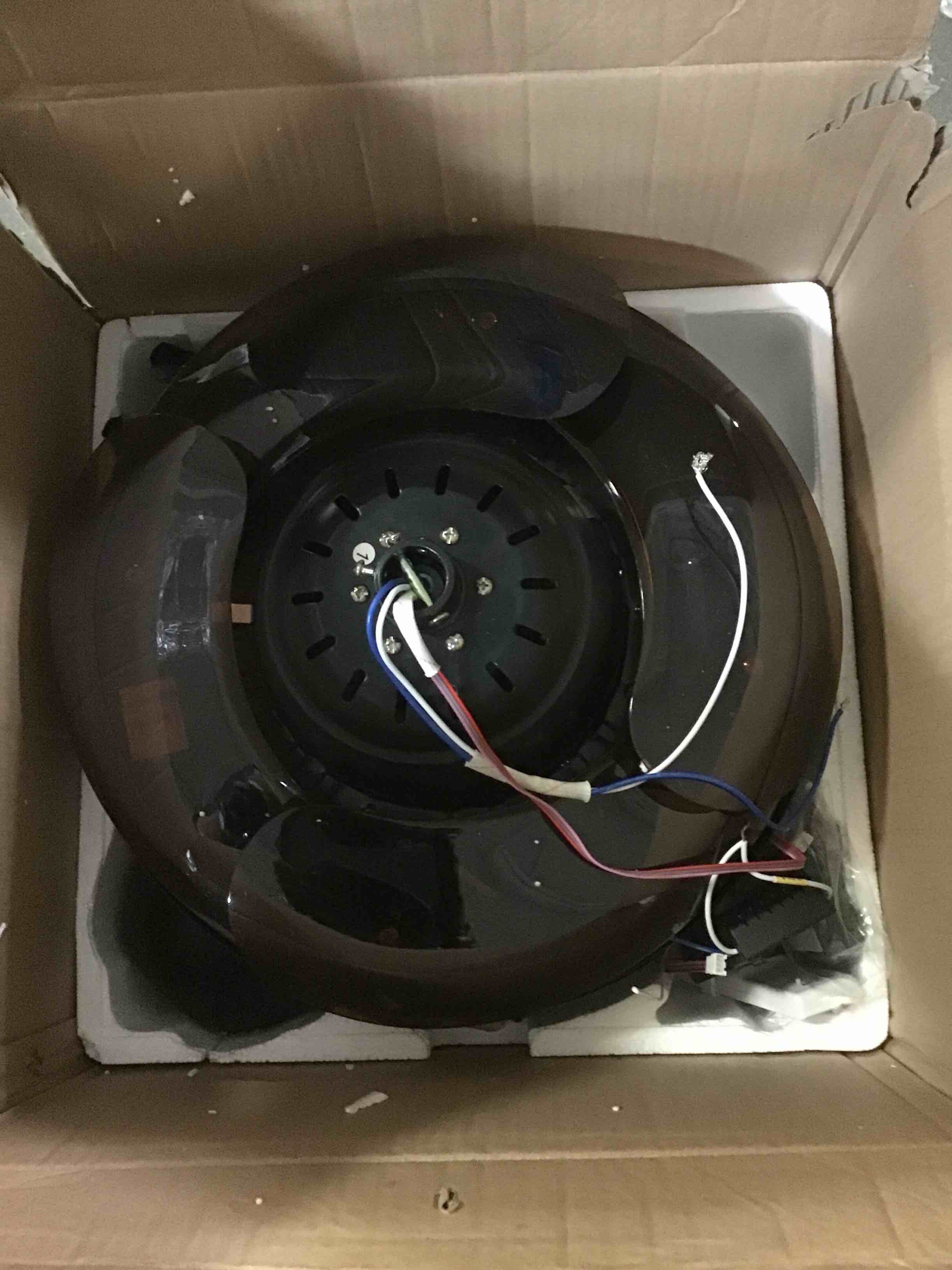 https://s3.amazonaws.com/lotting-images-prod/bidfta/BLU5143022_1694709175377.jpeg