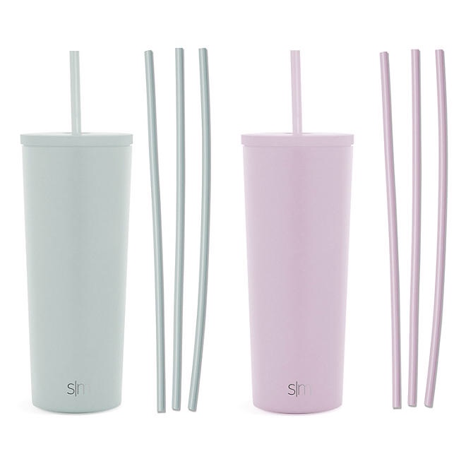 Simple Modern 2pack 24oz Stainless Steel Classic with Six Bonus Straws 