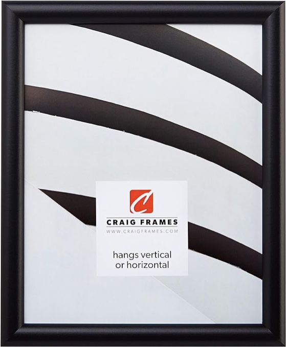 Craig Frames FW2BK 24 x 24-Inch Picture Frame, Smooth Finish, 0.765-Inch Wide, Black