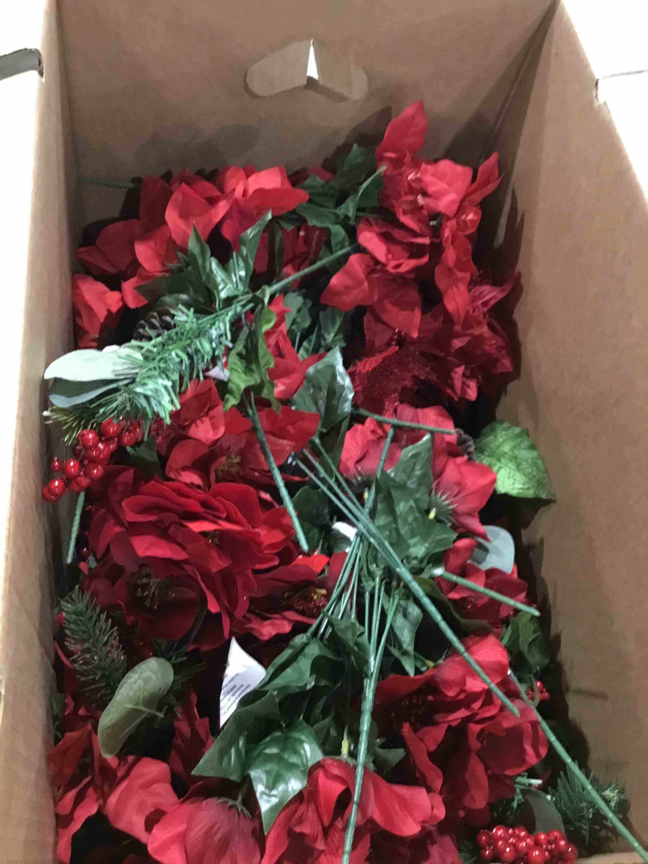 Box of Mixed Poinsettia Picks