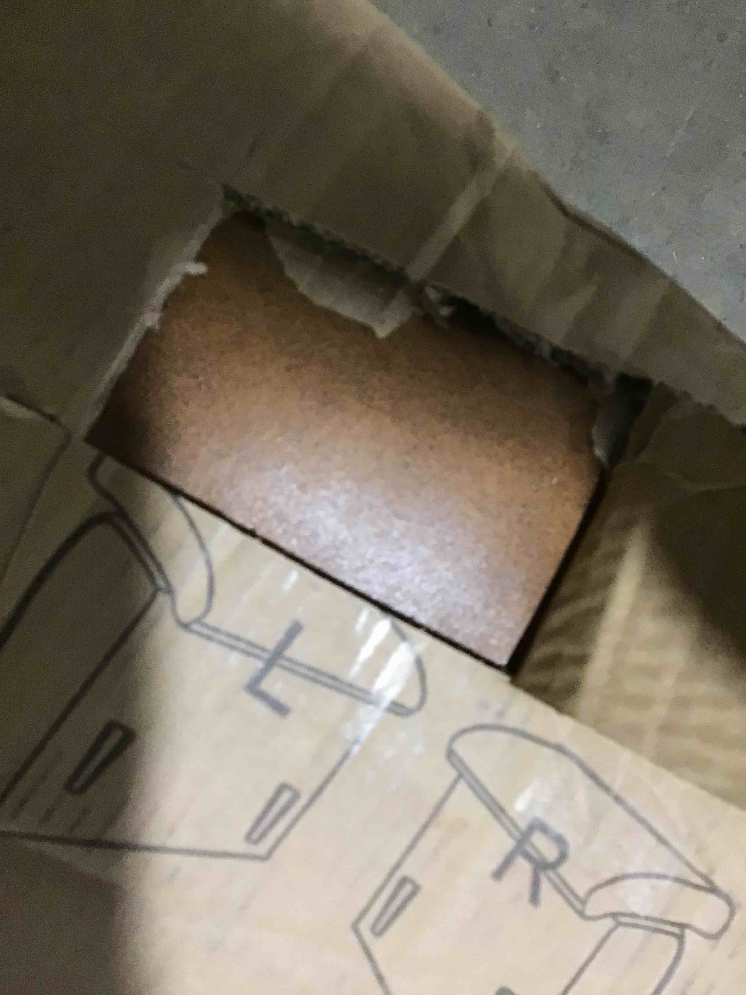 https://s3.amazonaws.com/lotting-images-prod/bidfta/BLU5291127_1688570702293.jpeg
