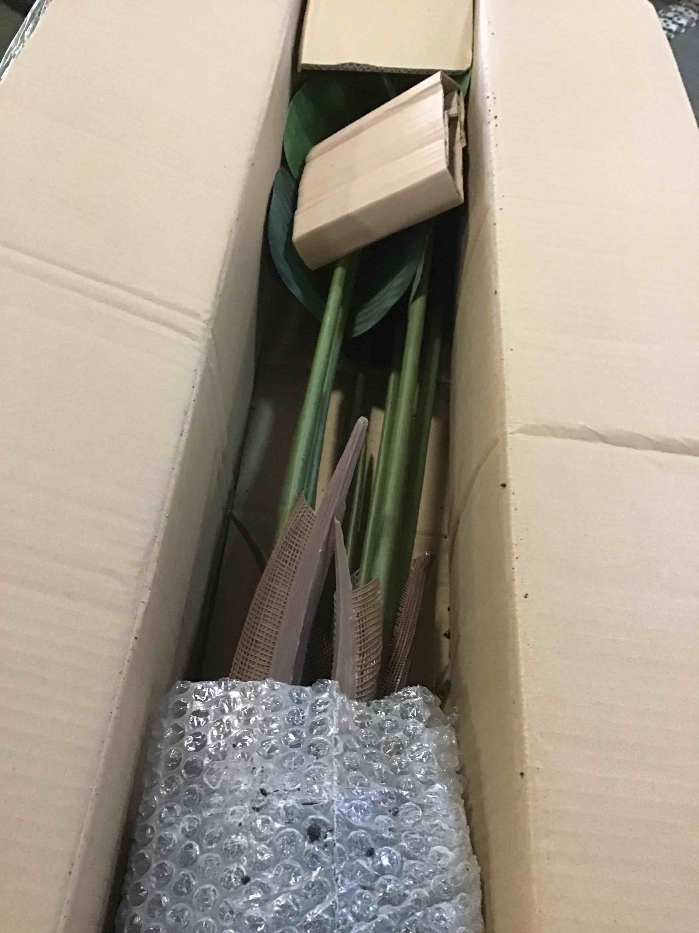 https://s3.amazonaws.com/lotting-images-prod/bidfta/BLU5309515_1689339118287.jpeg