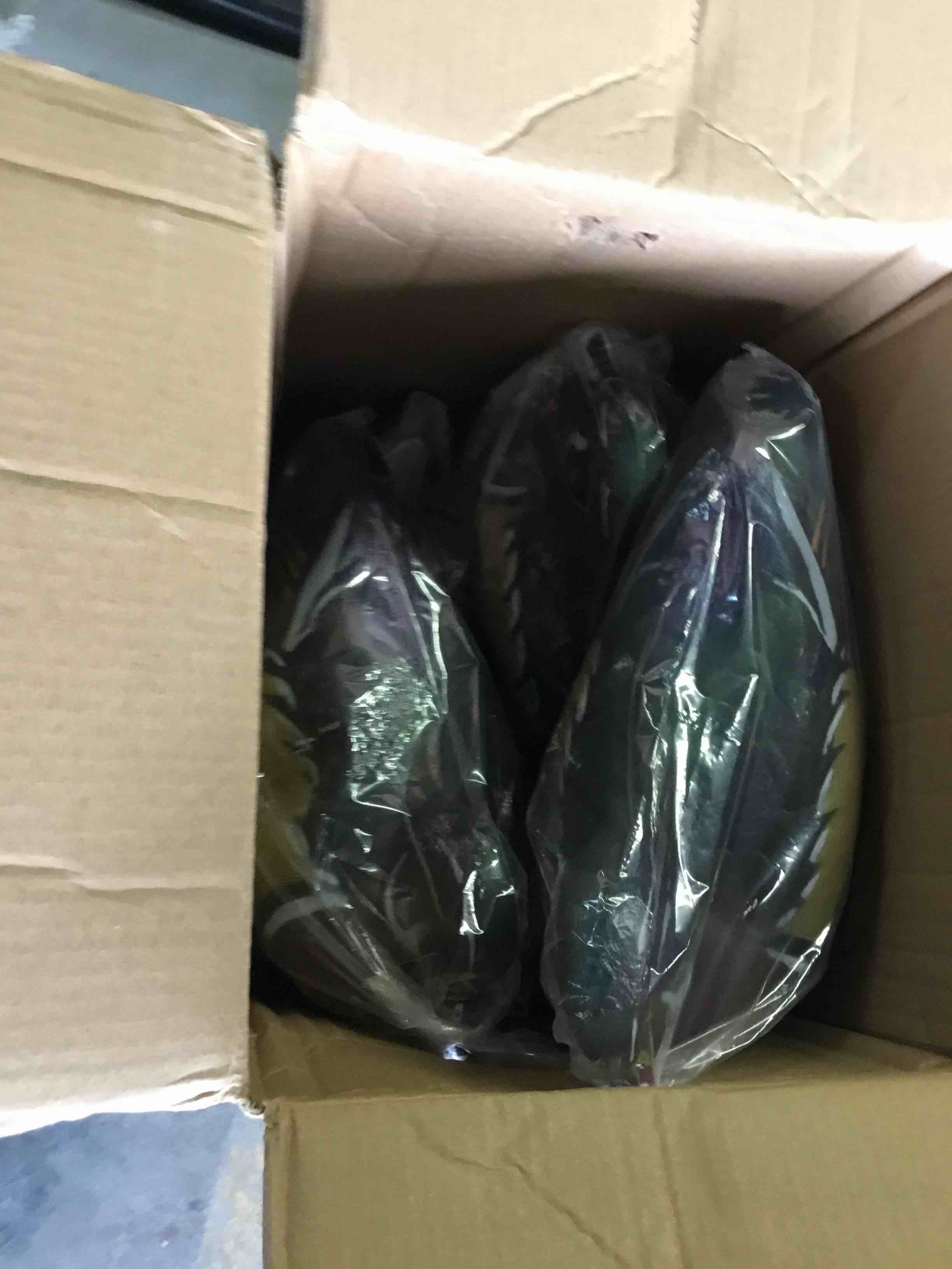 https://s3.amazonaws.com/lotting-images-prod/bidfta/BLU5316653_1689688956446.jpeg