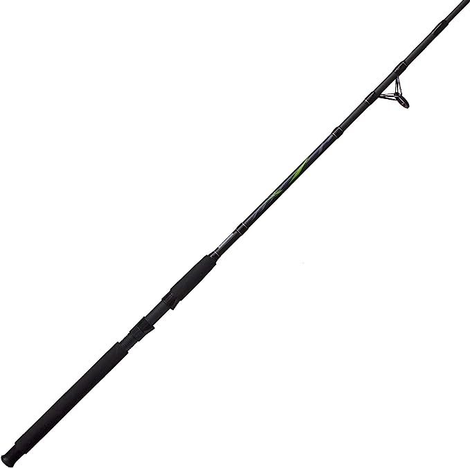 Zebco Big Cat Spinning Fishing Rod, 8-Foot 2-Piece Fiberglass Fishing Pole, High-Visibility Rod Tip, Extended EVA Rod Handle, Shock-Ring Guides, Medium-Heavy Power, Black/Green
