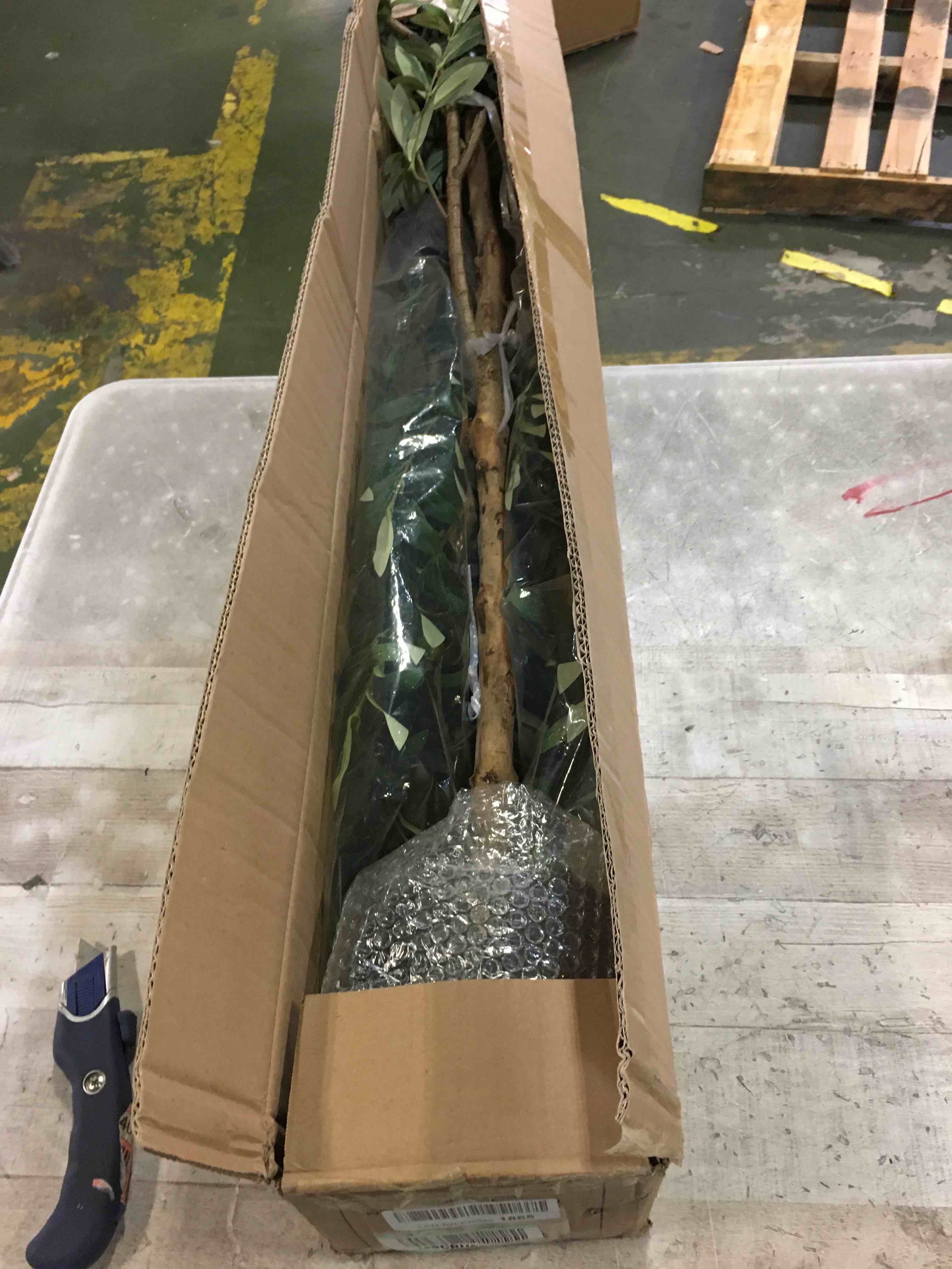 https://s3.amazonaws.com/lotting-images-prod/bidfta/BLU5322894_1688045924243.jpeg