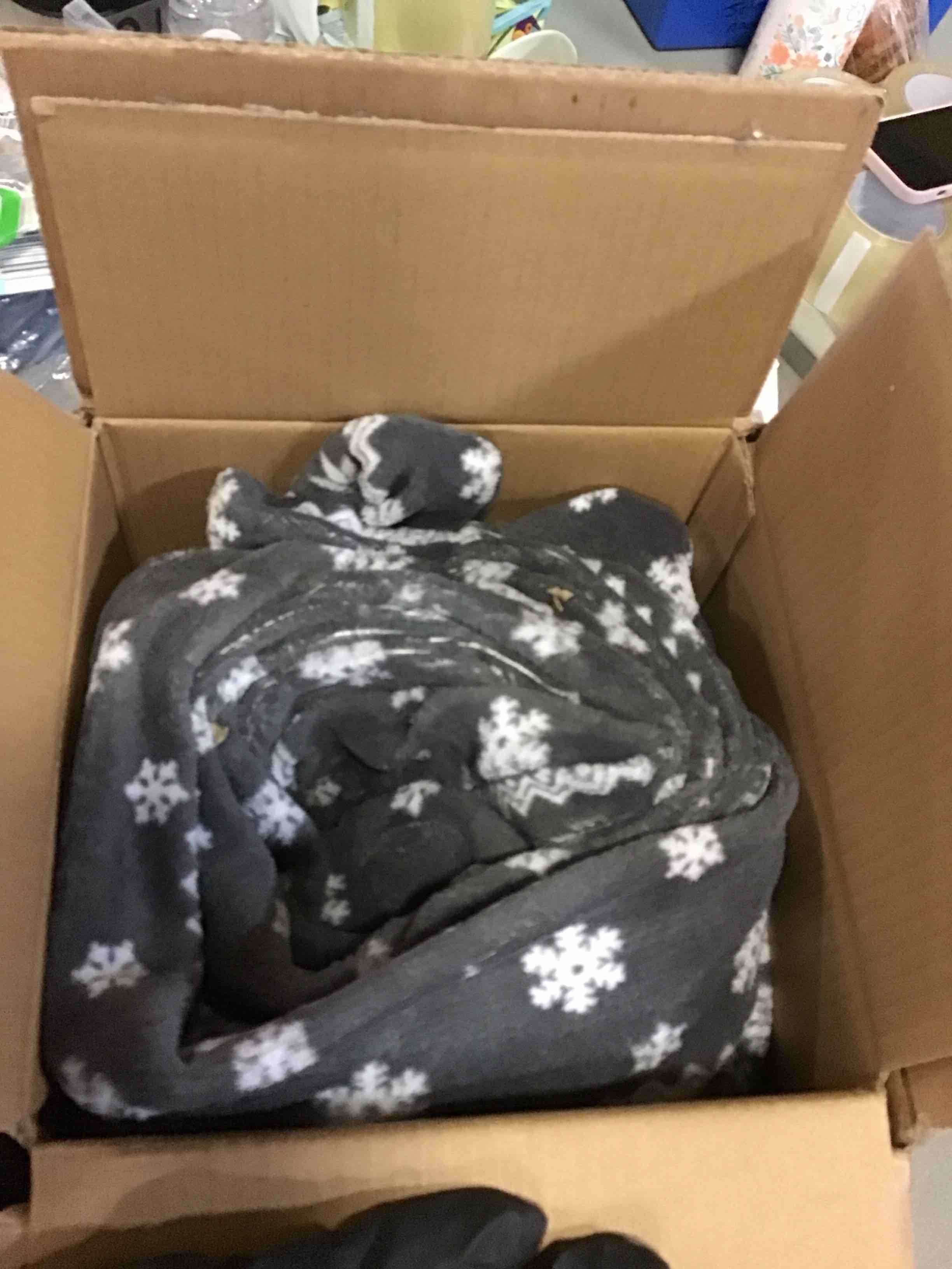 https://s3.amazonaws.com/lotting-images-prod/bidfta/BLU5372281_1703174684323.jpeg