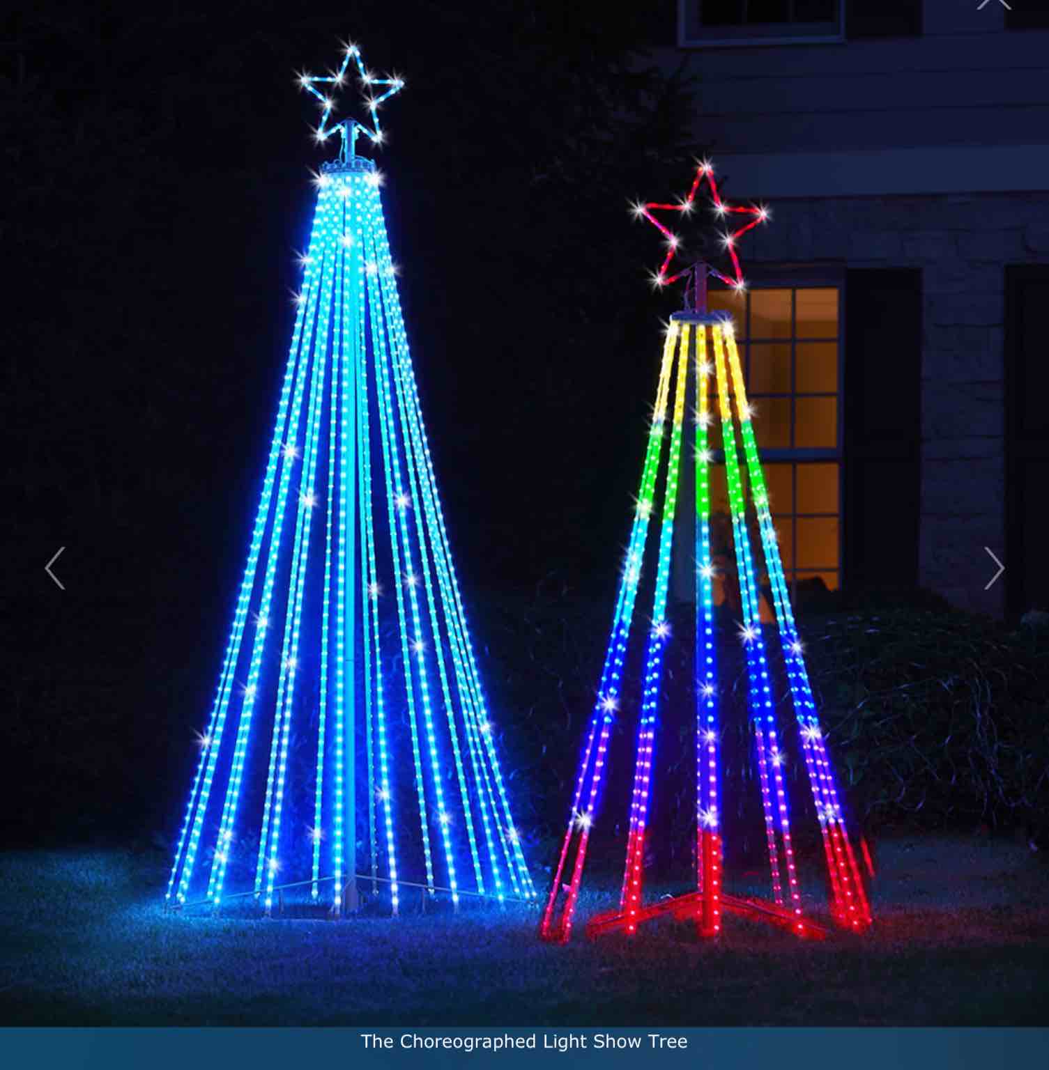The Choreographed Light Show Tree