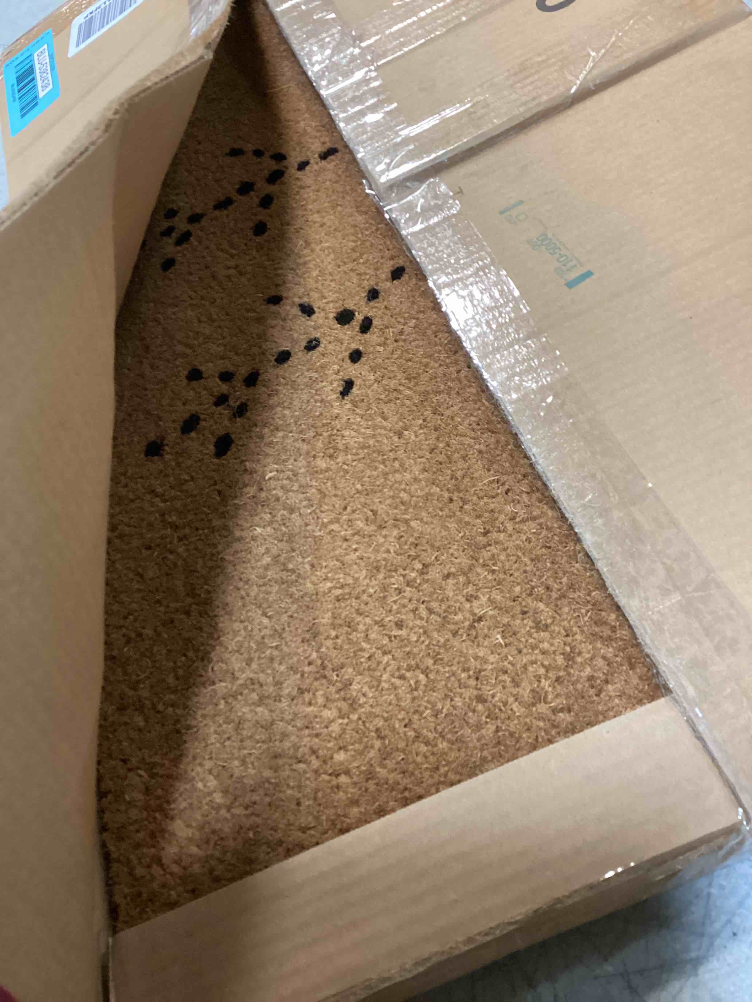 https://s3.amazonaws.com/lotting-images-prod/bidfta/BLU5382438_1703345211300.jpeg