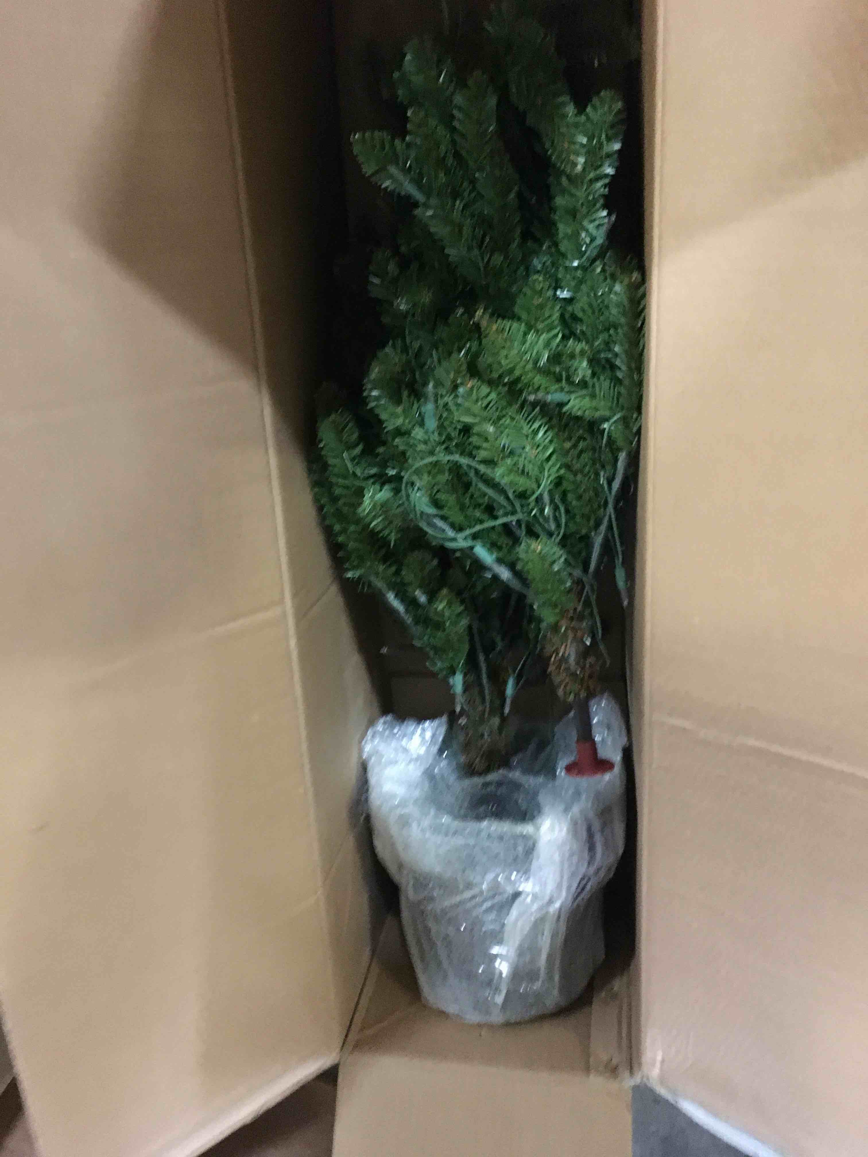 https://s3.amazonaws.com/lotting-images-prod/bidfta/BLU5416845_1701188880746.jpeg