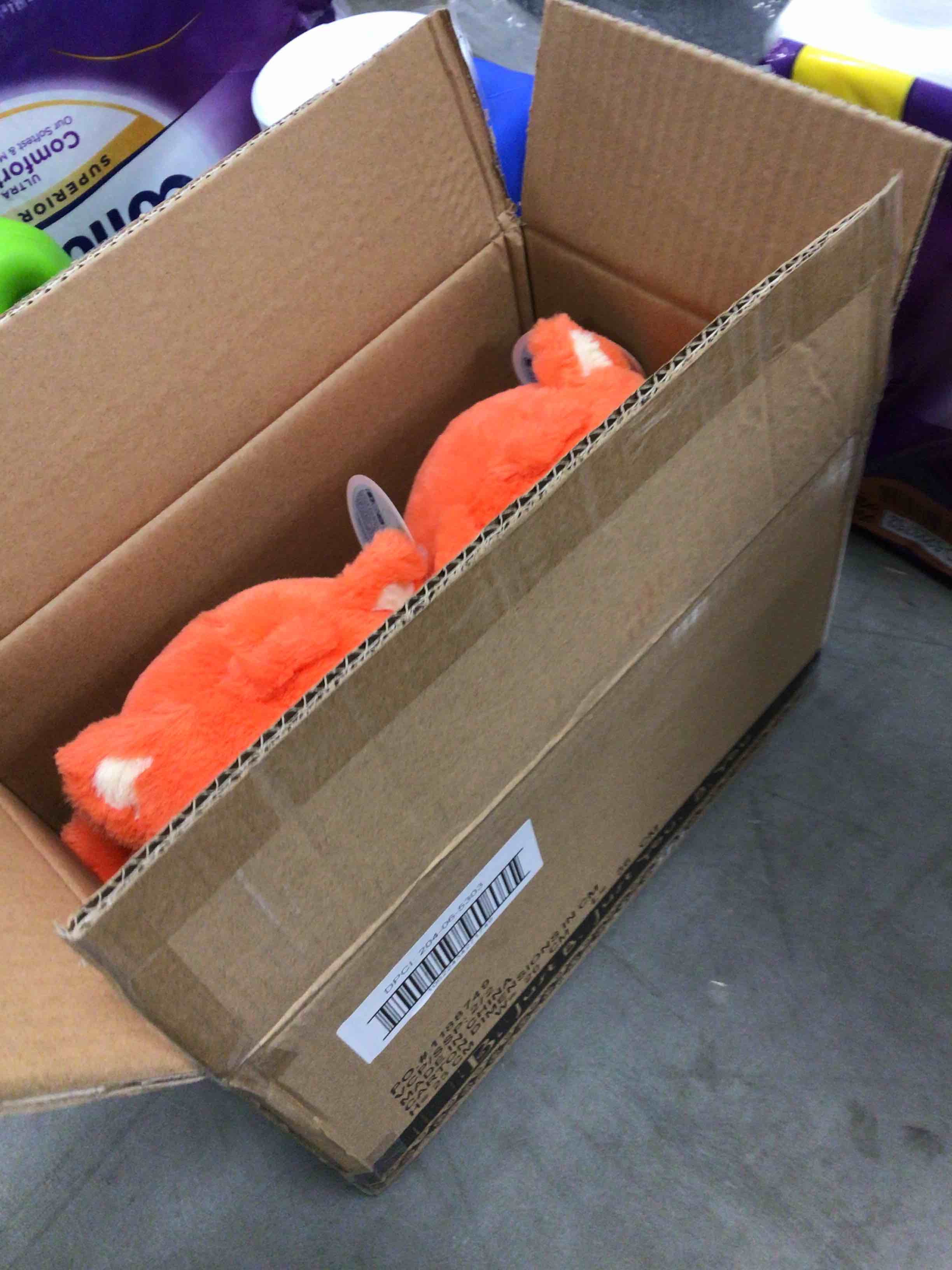 https://s3.amazonaws.com/lotting-images-prod/bidfta/BLU5428907_1712066359002.jpeg