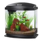 Aqueon Aquarium Led MiniBow