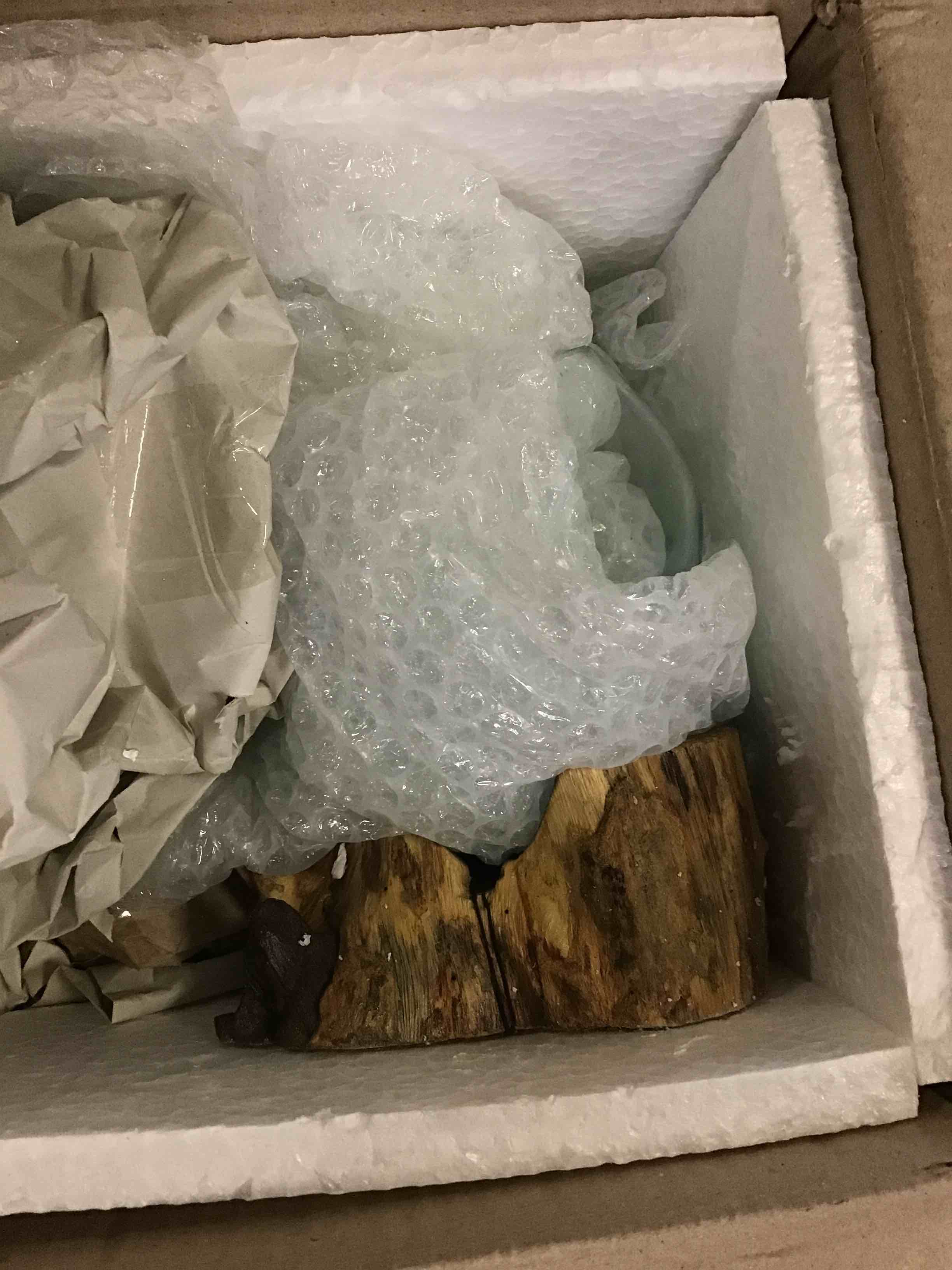 https://s3.amazonaws.com/lotting-images-prod/bidfta/BLU5466403_1698952811931.jpeg