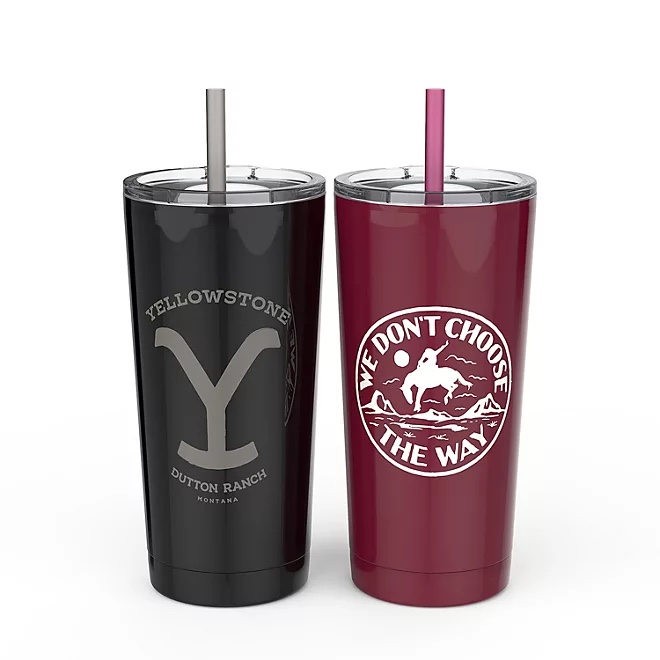 Zak Designs 19.5-oz. Stainless Steel Vacuum-Insulated Tumbler, 2-Piece Set