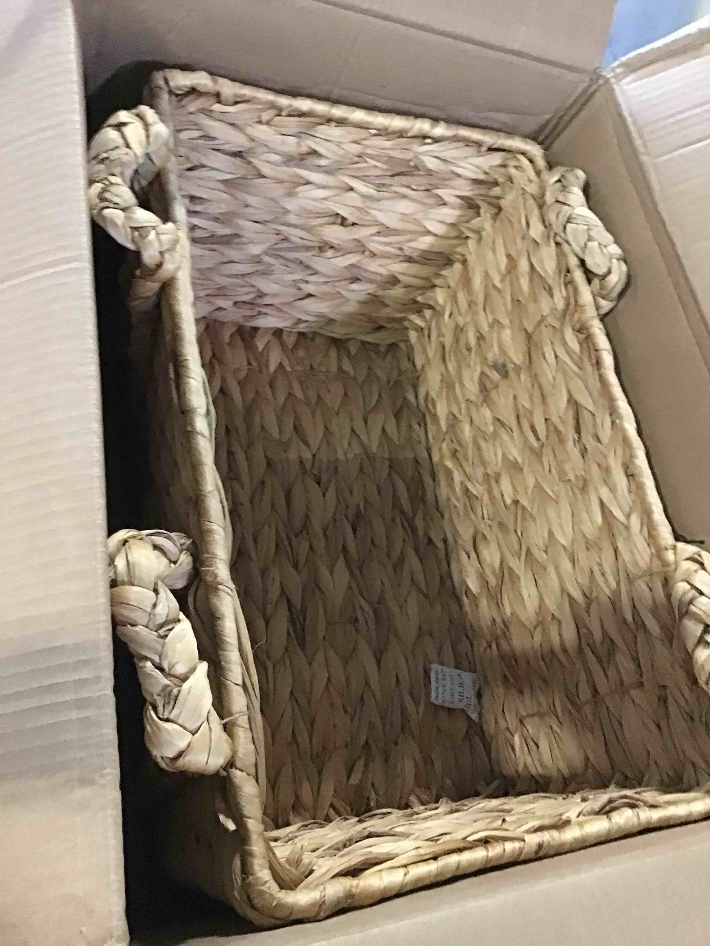 https://s3.amazonaws.com/lotting-images-prod/bidfta/BLU5510900_1699886120955.jpeg