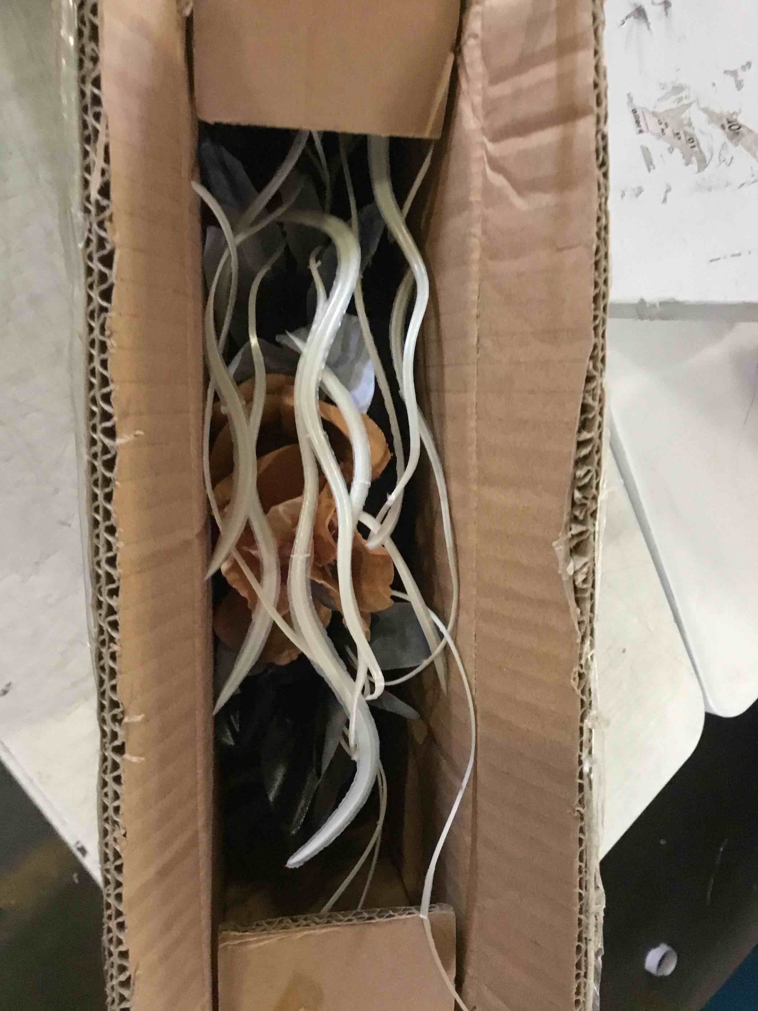 https://s3.amazonaws.com/lotting-images-prod/bidfta/BLU5554304_1697225021299.jpeg