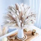 Tall Pampas Grass Boho Decor Natural Home Decor Phragmites Dried Flowers Bouquet for Wedding Floral Arrangements Home Decorations (10PCS - 32inch Tall Pampas)