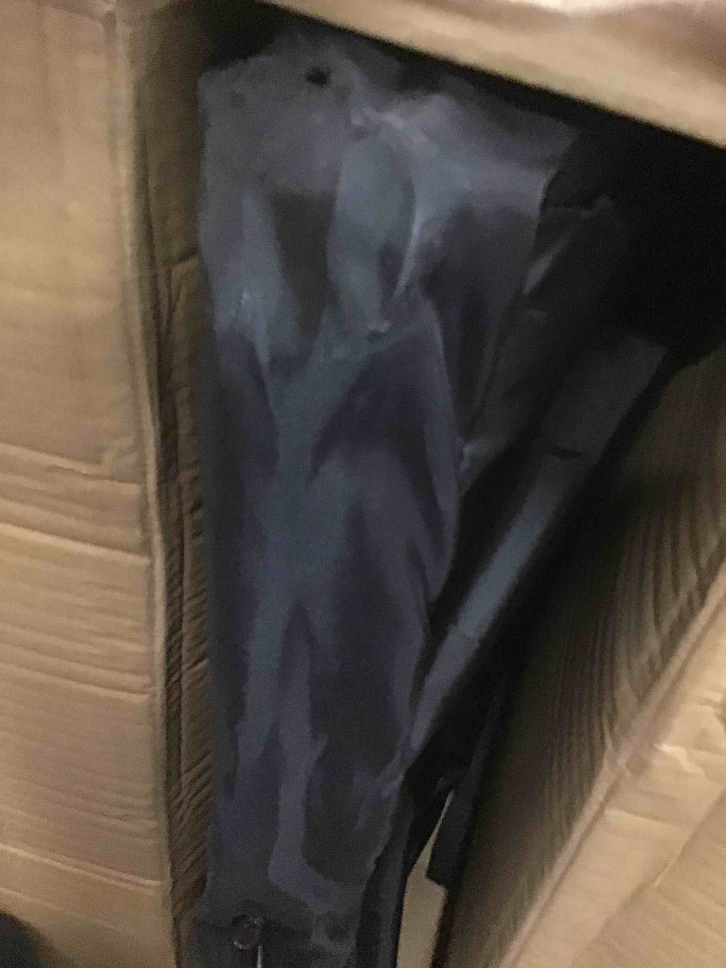 https://s3.amazonaws.com/lotting-images-prod/bidfta/BLU5597756_1711559714432.jpeg