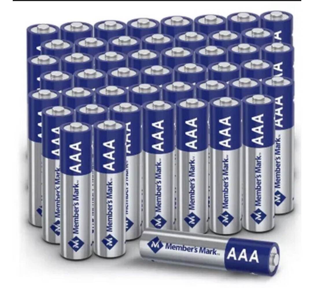 Member's Mark Alkaline AAA Batteries (40 Pack)