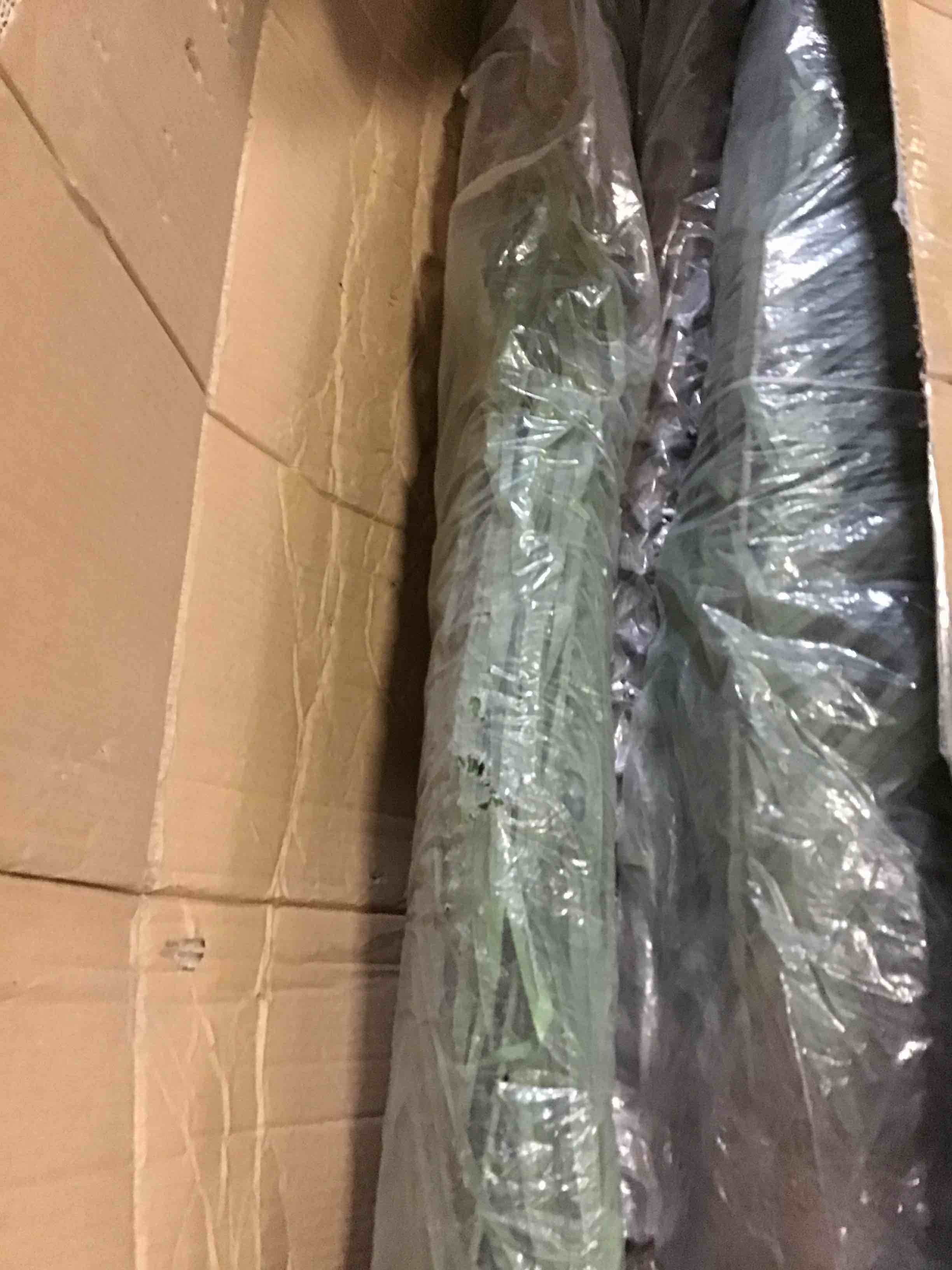 https://s3.amazonaws.com/lotting-images-prod/bidfta/BLU5618425_1696012199372.jpeg