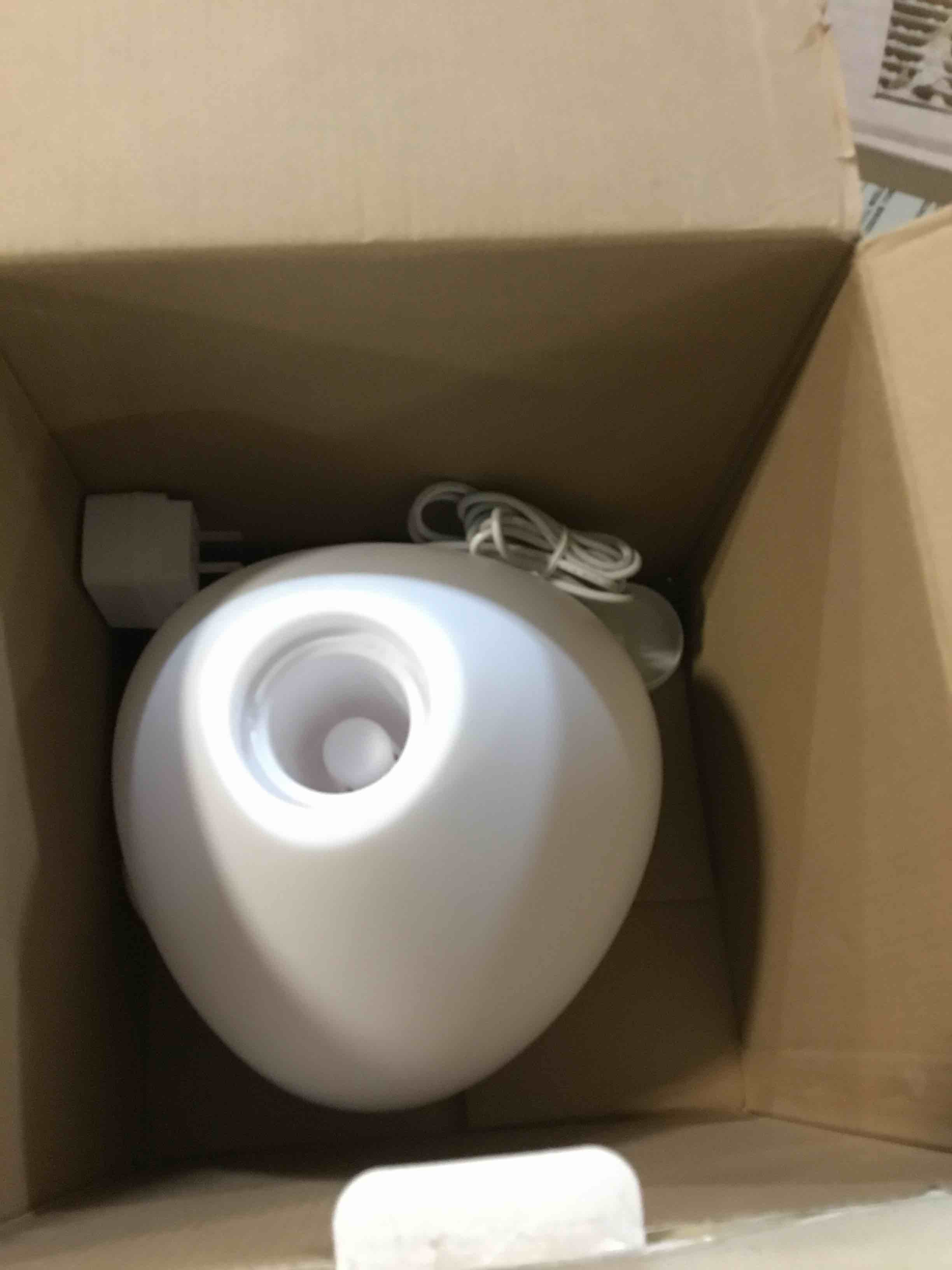 https://s3.amazonaws.com/lotting-images-prod/bidfta/BLU5670699_1695821454420.jpeg