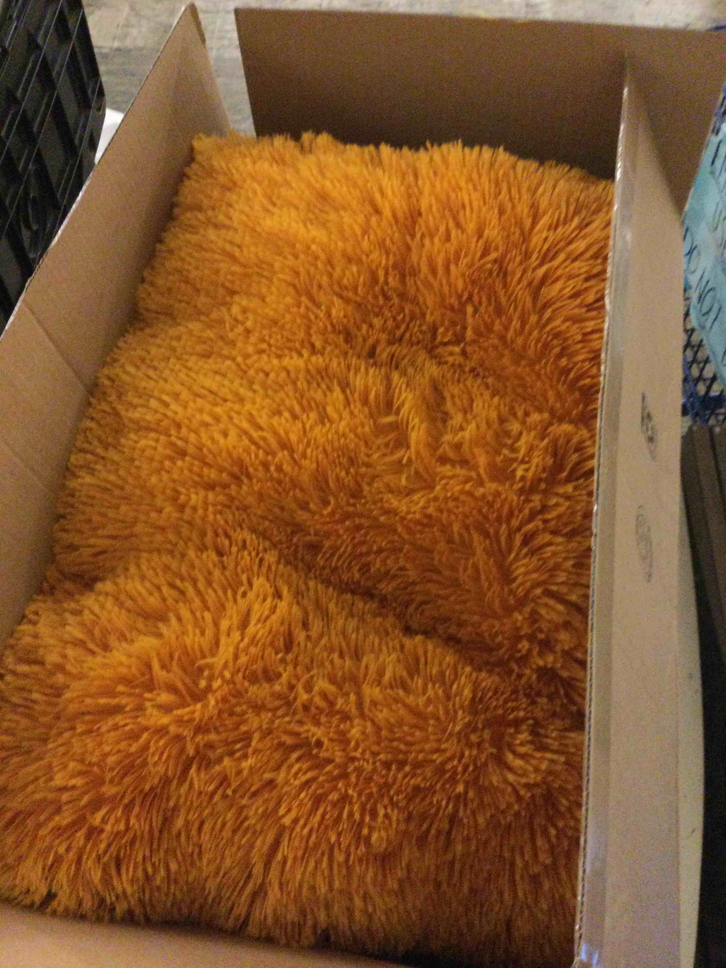 Condition photo showing Good Condition for liveinu long plush calming pet bed cuddler pet bed for dogs and cats fluffy faux fur dog bed with anti slip bottom machine washable pet sleep bed crate mat yellow l l(30"x20"x4") yellow