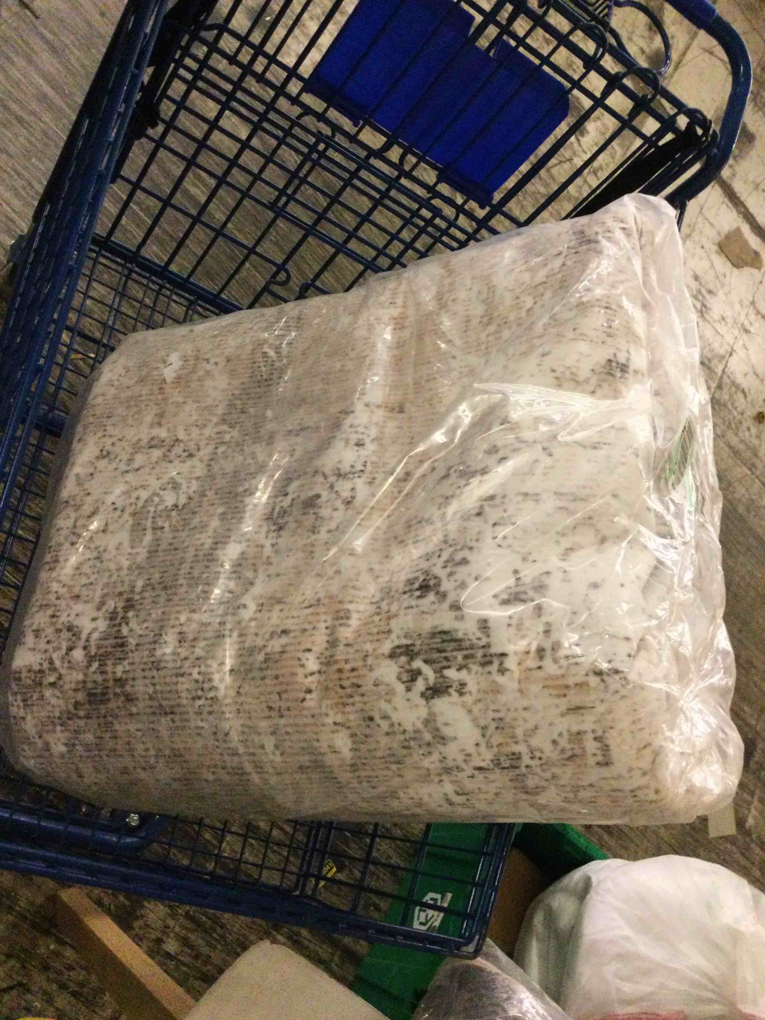 Condition photo showing New/Like New for area rug 