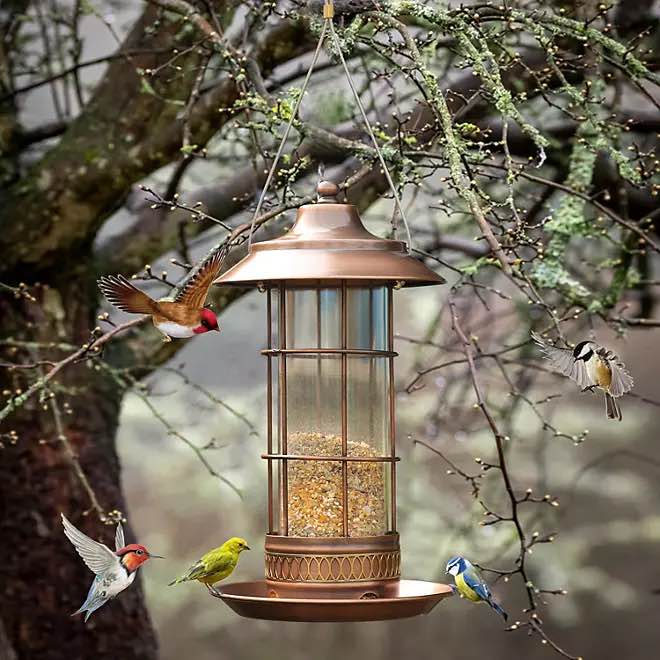 Member's Mark Copper Antique Bird Feeder 