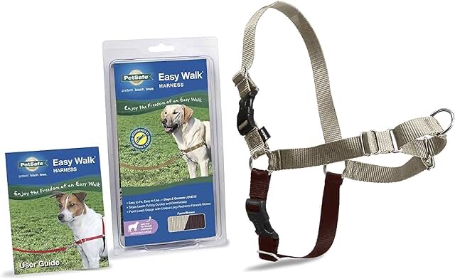 PetSafe Deluxe Easy Walk Dog Harness - Martingale Loop with D-ring Stops Pulling - Training & Behavior Aid - Reflectivity Enhances Visibility in Low Light - Comfortable Padding - Ocean/Black - S