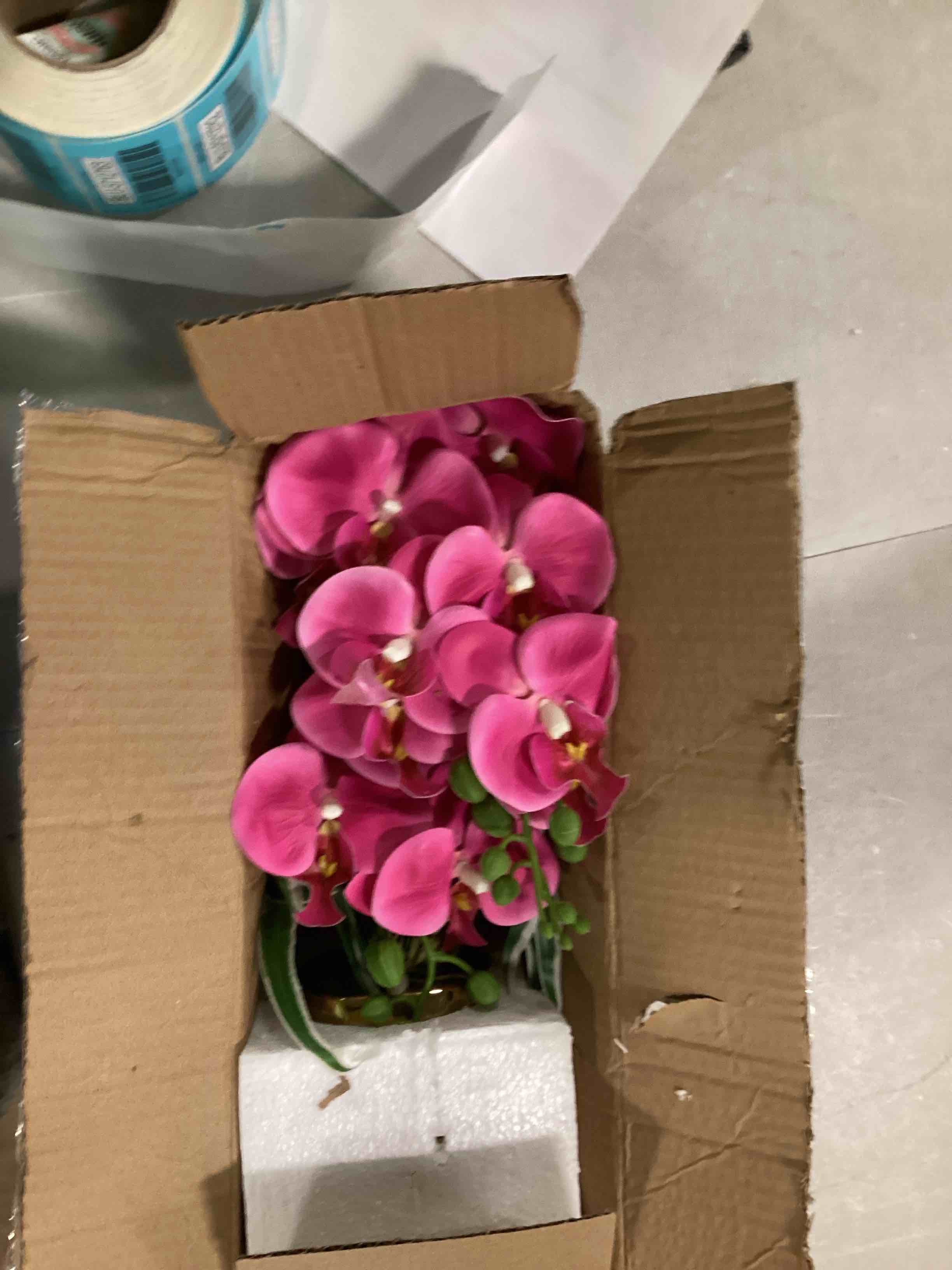 https://s3.amazonaws.com/lotting-images-prod/bidfta/BLU5712751_1714058412042.jpeg