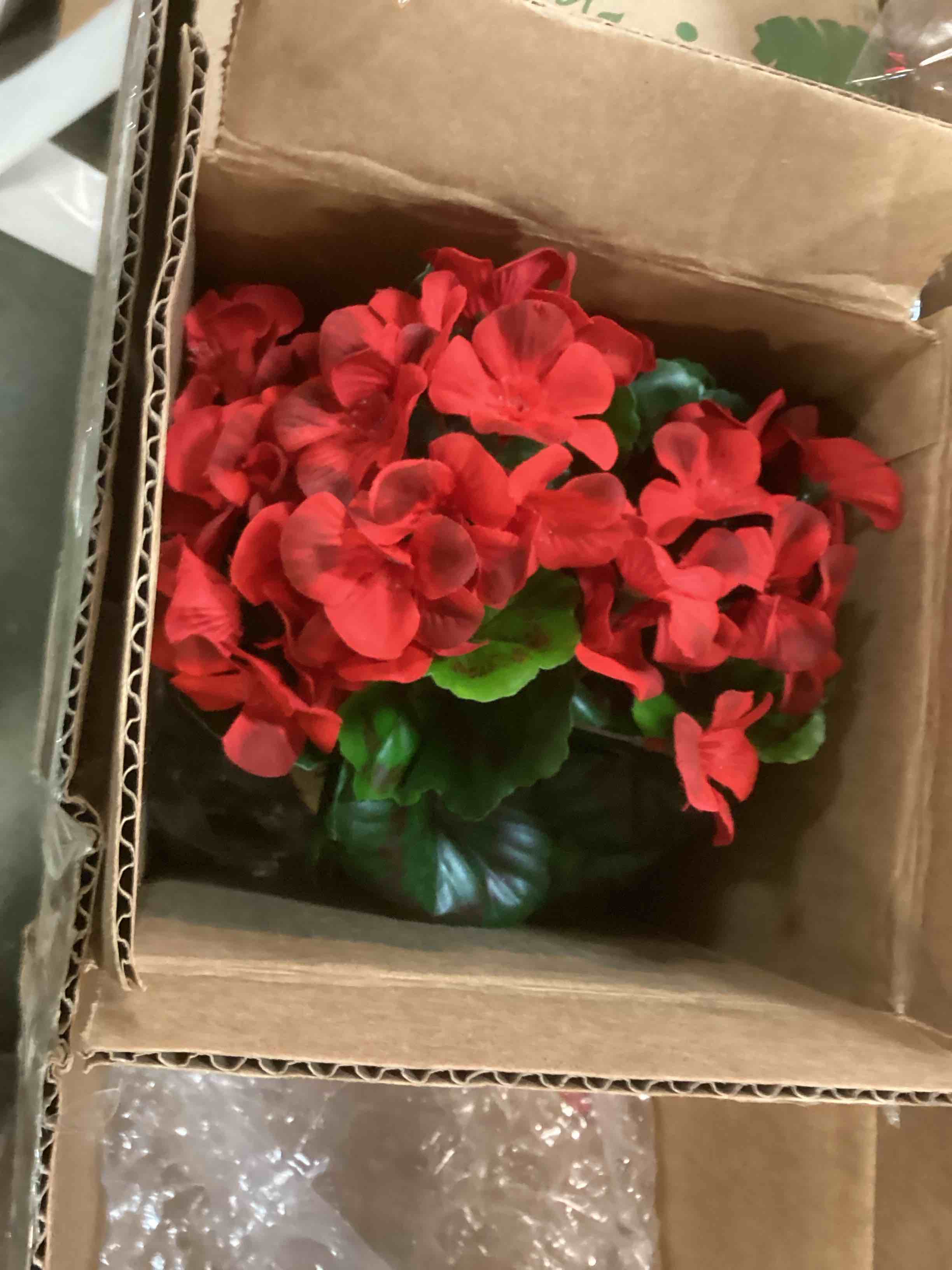 https://s3.amazonaws.com/lotting-images-prod/bidfta/BLU5715124_1714660755577.jpeg