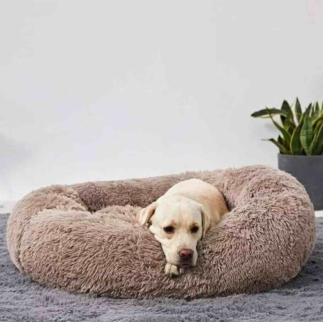 pups Dream The Original Calming Cloud 9 Dog Bed