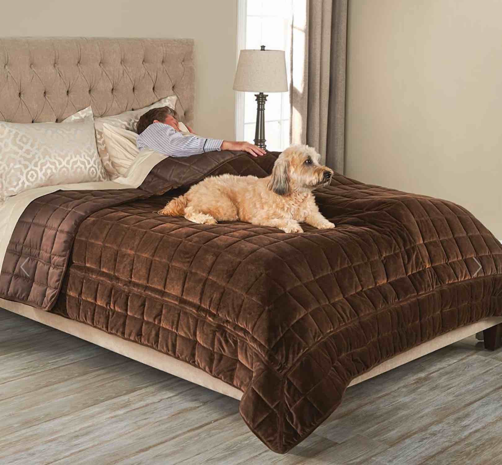 The Bed Protecting Pet Cover (Queen)