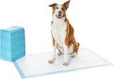 Amazon Basics Dog and Puppy Pee Pads with Leak-Proof Quick-Dry Design for Potty Training, Heavy Duty Absorbency, Giant, 27.5 x 44 Inches - Pack of 30
