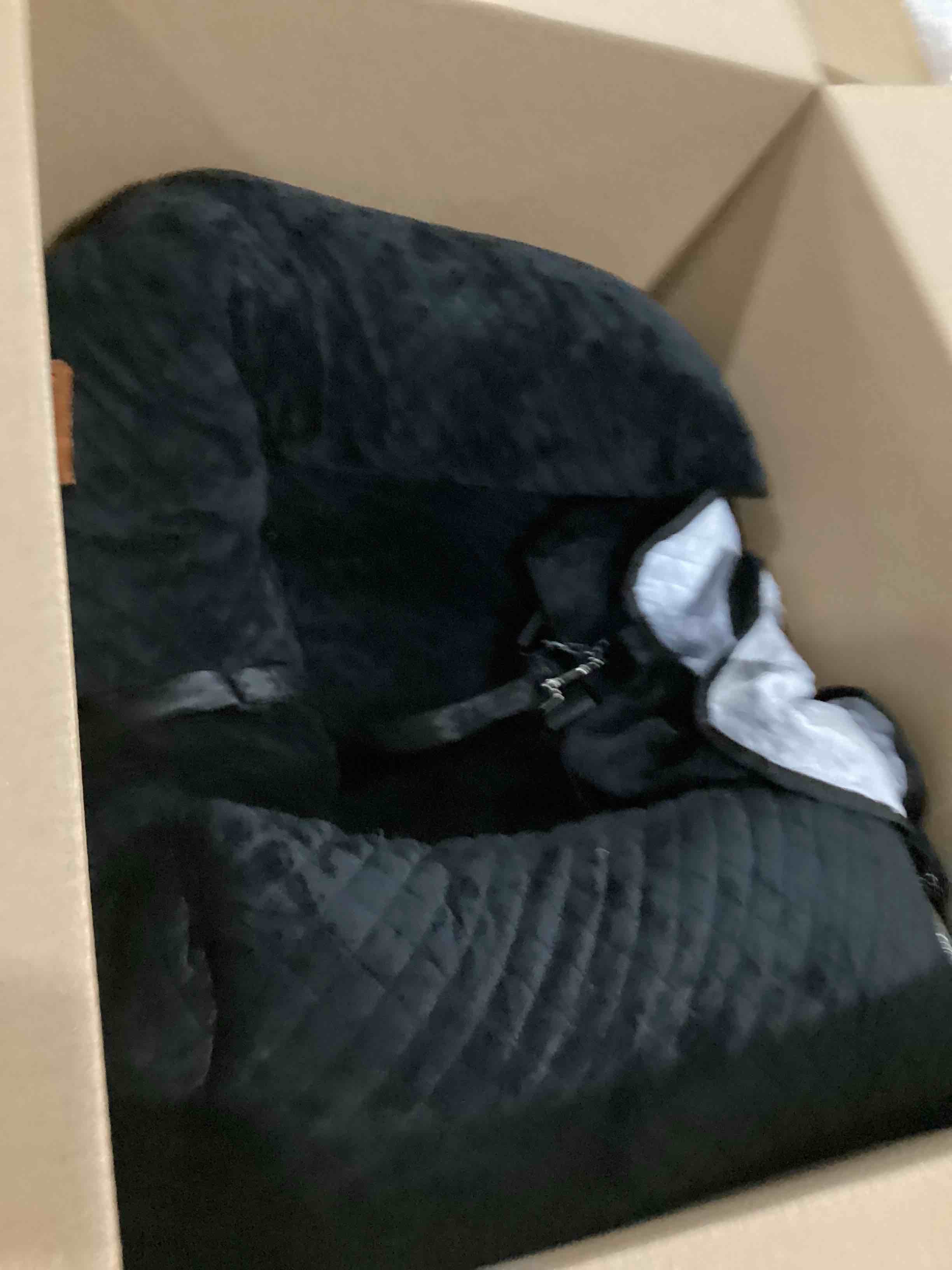 https://s3.amazonaws.com/lotting-images-prod/bidfta/BLU5767817_1715255744347.jpeg