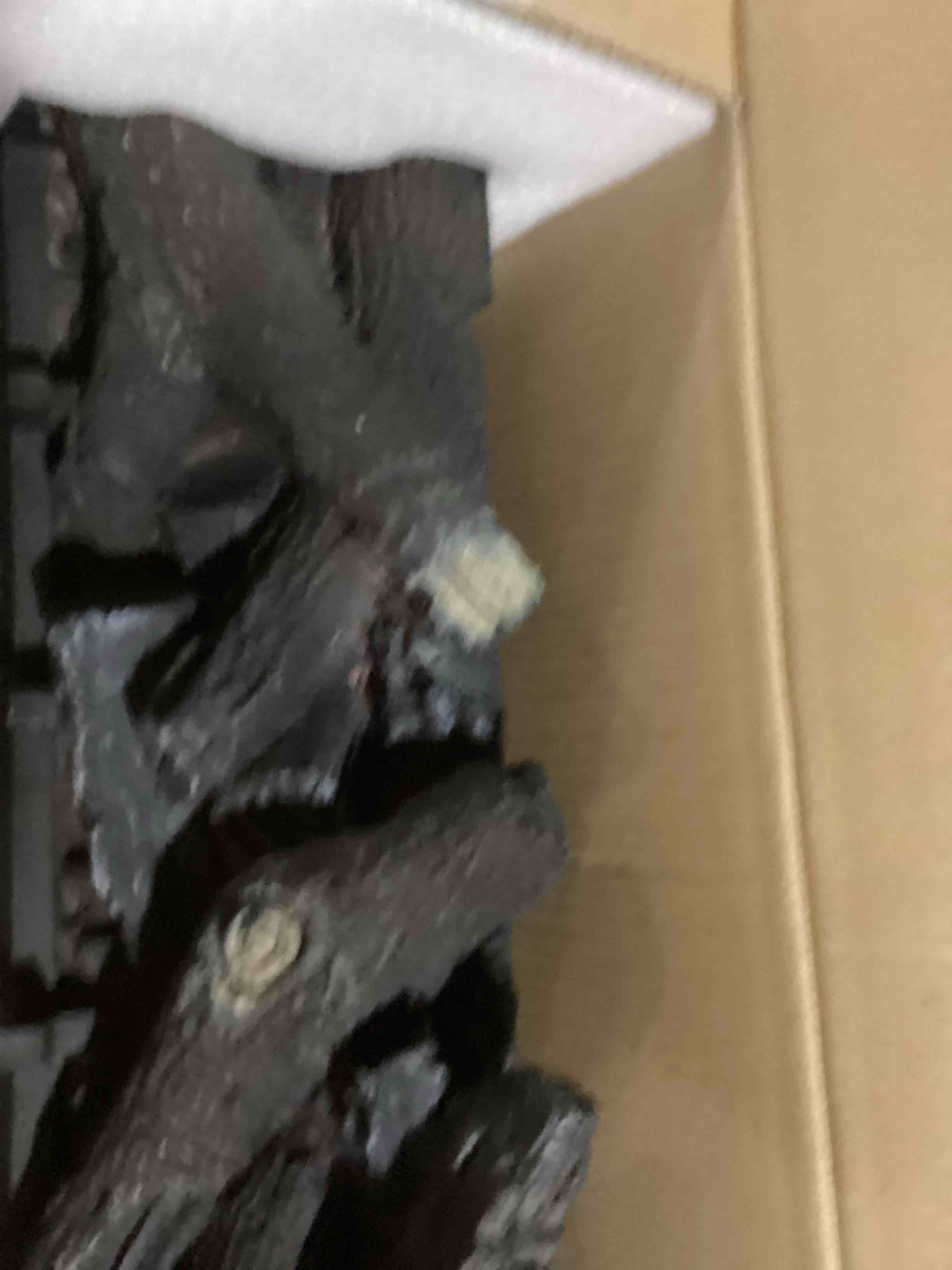 https://s3.amazonaws.com/lotting-images-prod/bidfta/BLU5785273_1708452440361.jpeg