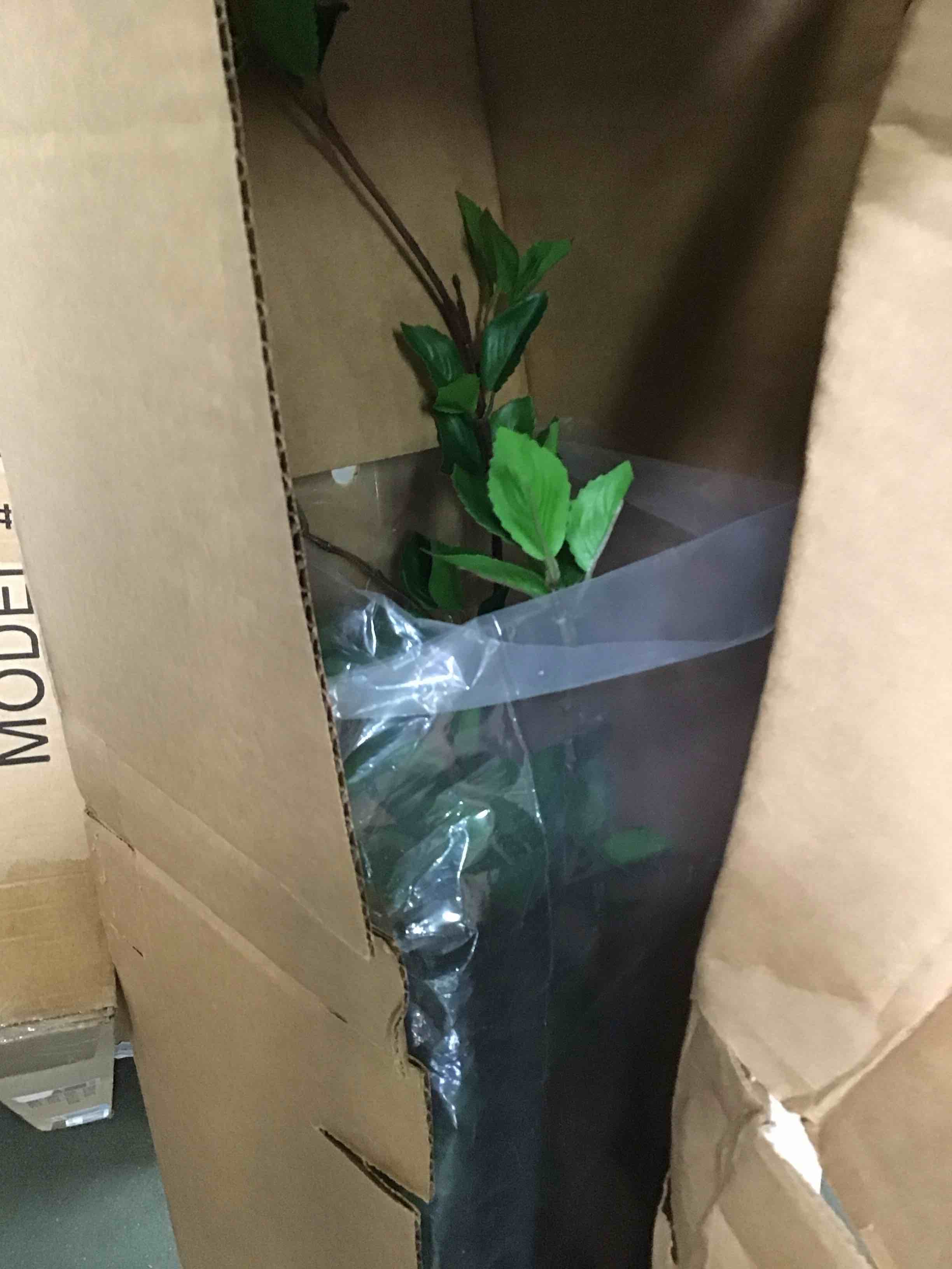 https://s3.amazonaws.com/lotting-images-prod/bidfta/BLU5801472_1705510952384.jpeg