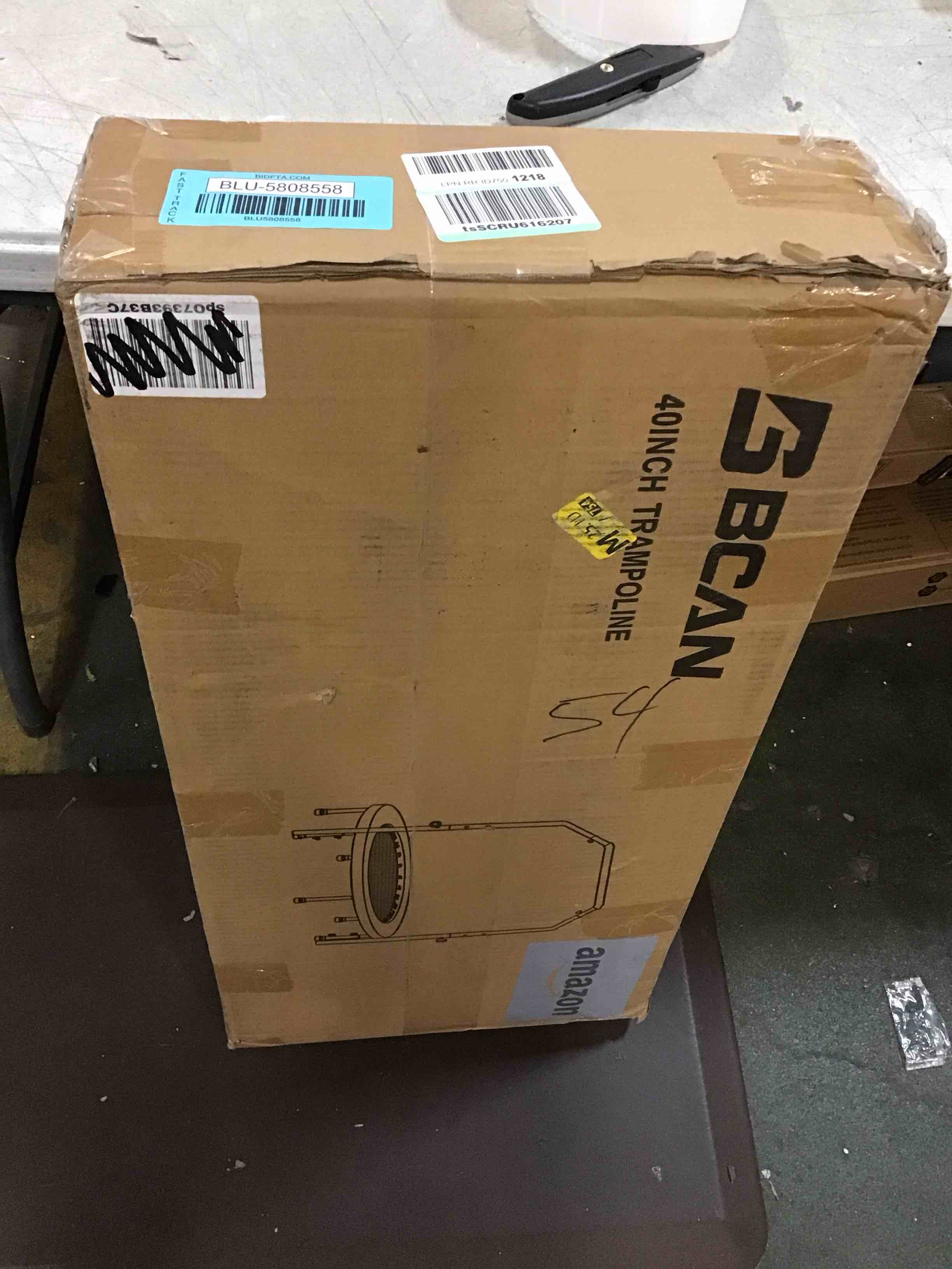https://s3.amazonaws.com/lotting-images-prod/bidfta/BLU5808558_1711984149178.jpeg