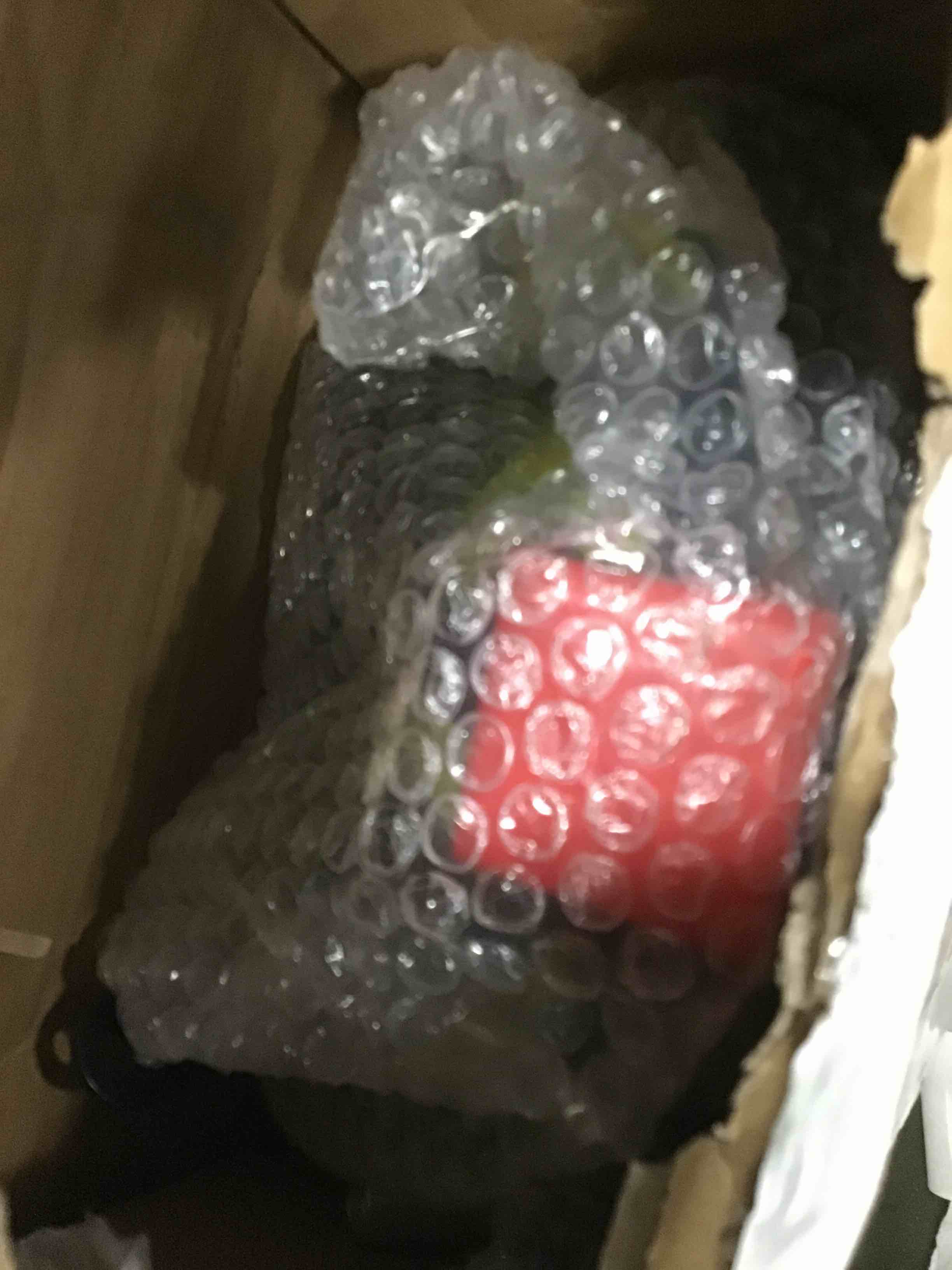 https://s3.amazonaws.com/lotting-images-prod/bidfta/BLU5855194_1703787320187.jpeg