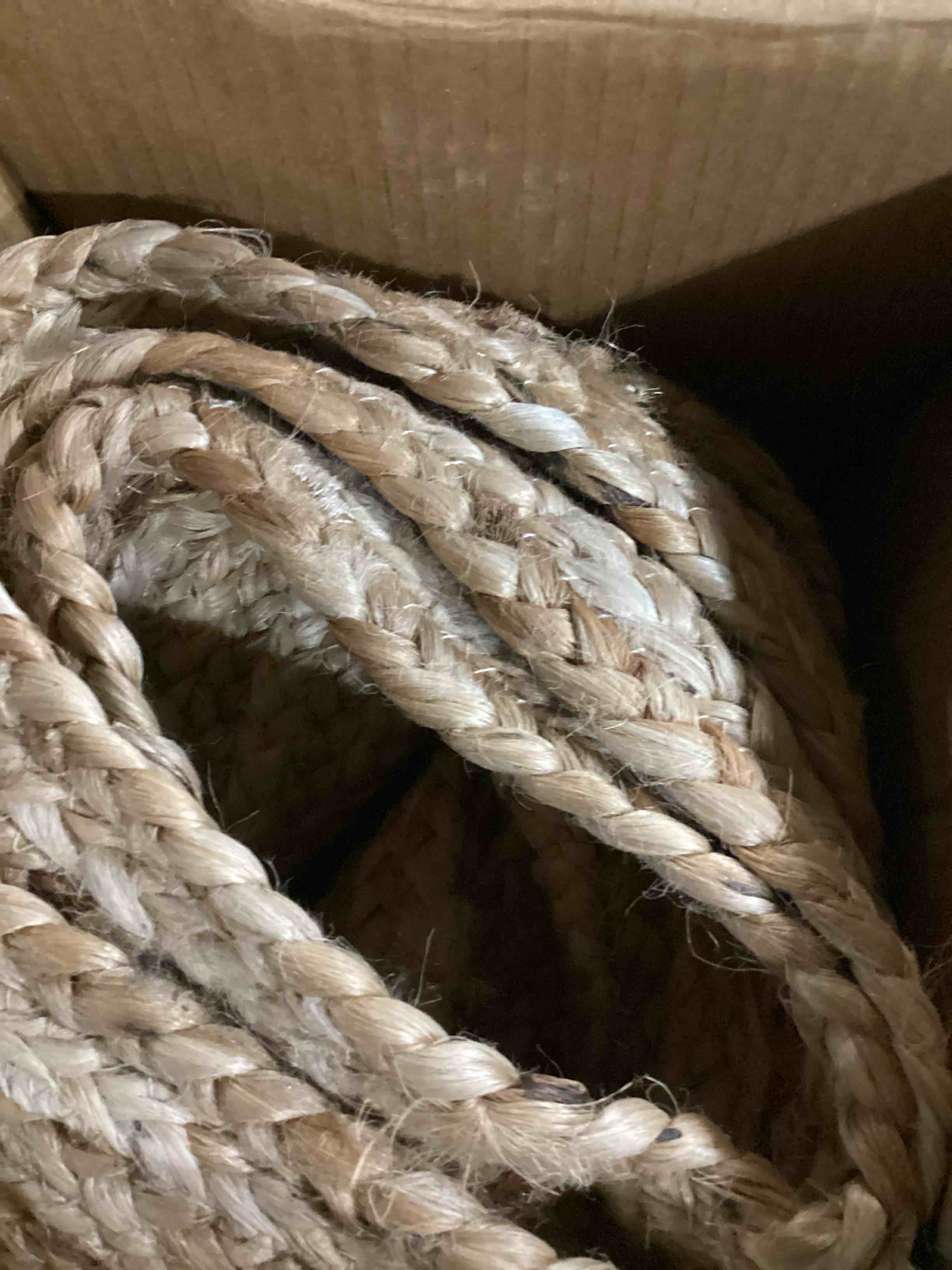 https://s3.amazonaws.com/lotting-images-prod/bidfta/BLU5867126_1721735643378.jpeg
