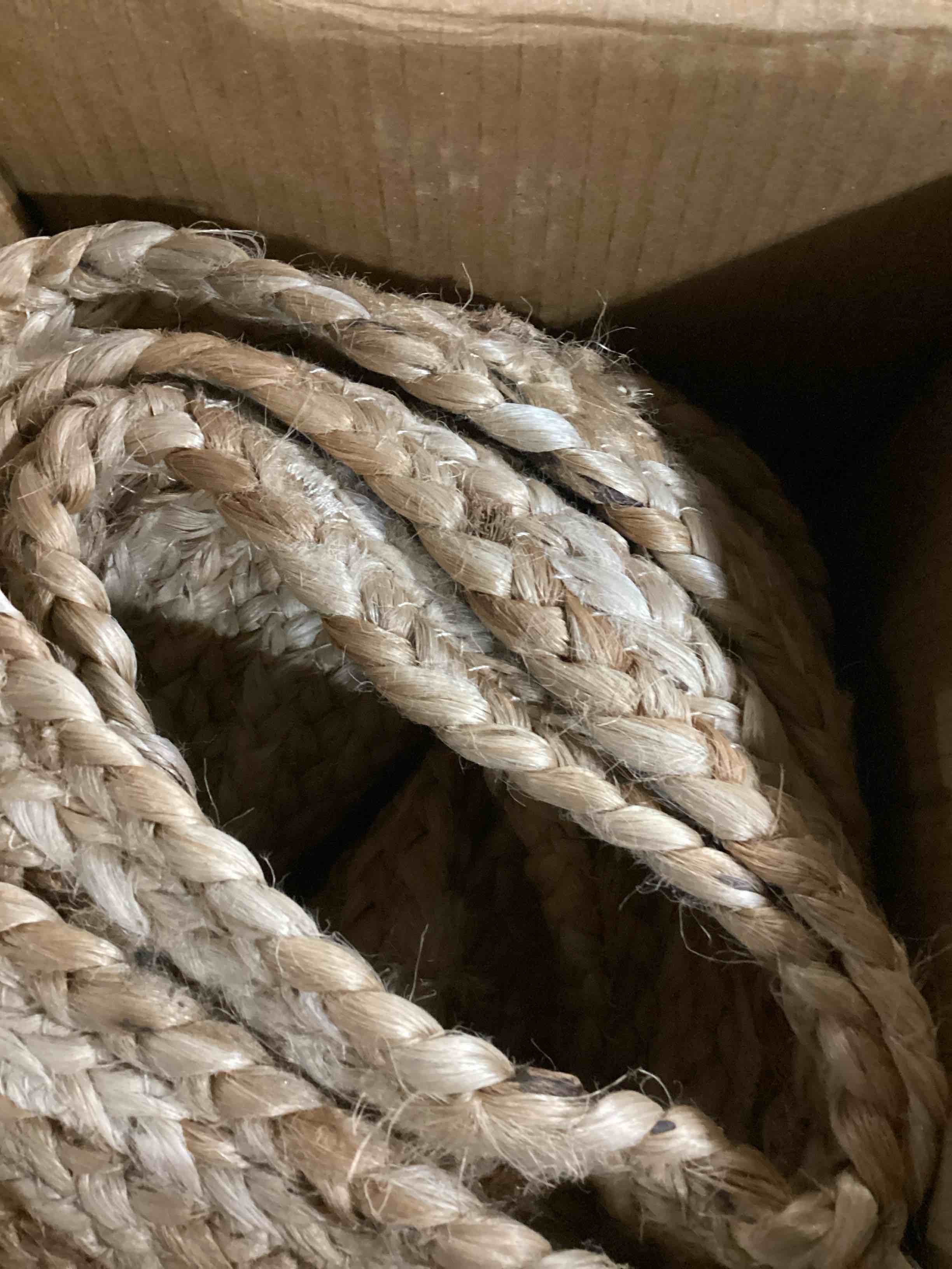 https://s3.amazonaws.com/lotting-images-prod/bidfta/BLU5867126_1721735644841.jpeg