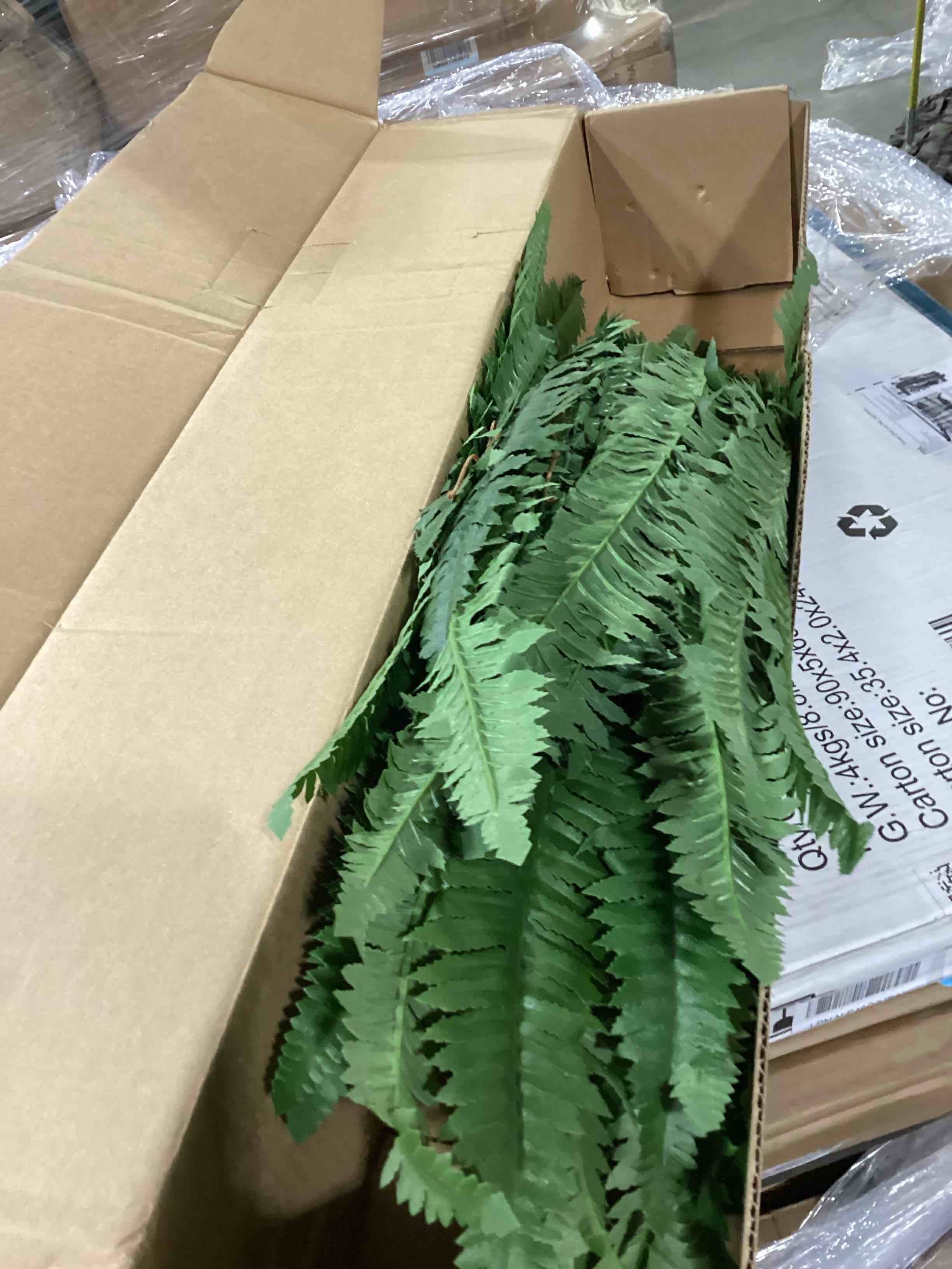 https://s3.amazonaws.com/lotting-images-prod/bidfta/BLU5868064_1723057490766.jpeg